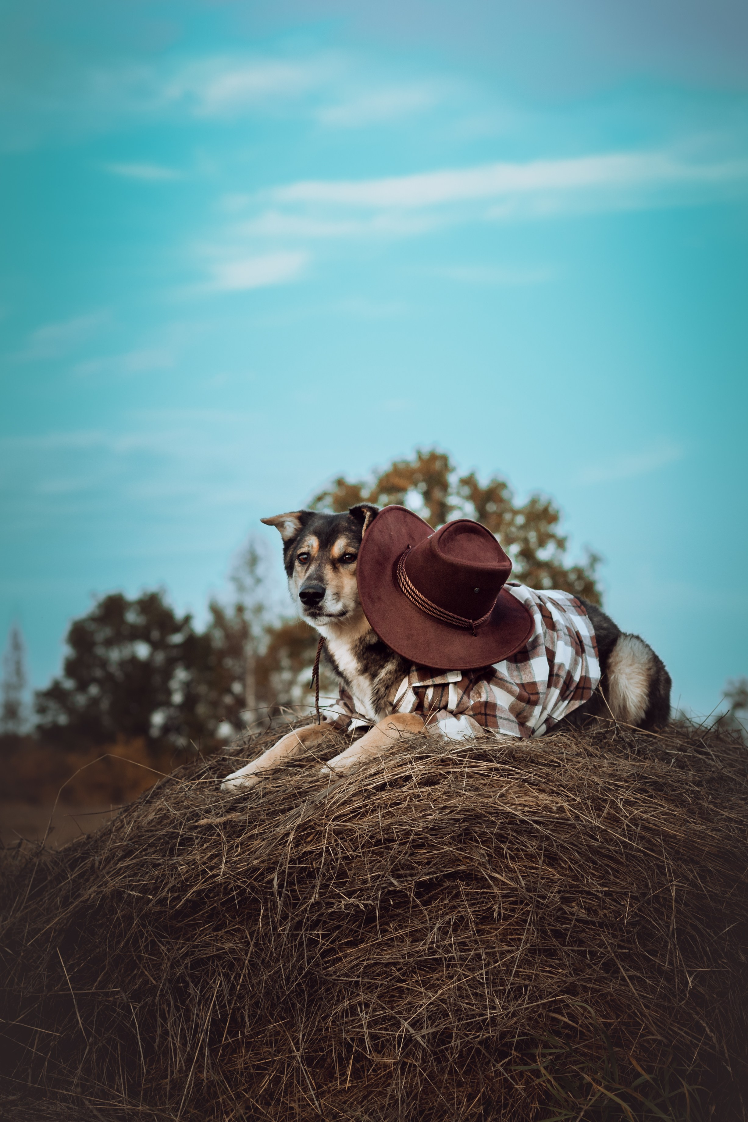 Кантри Дюк. Фотограф-анималист Татьяна Степанова