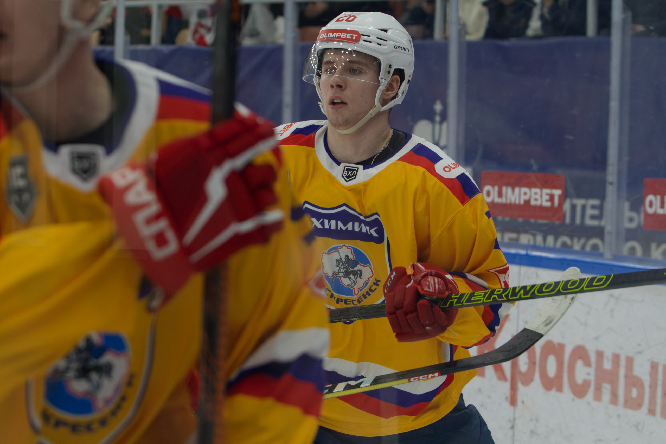 Хоккей. Молот-Химик 12.02.2025. Репортажный и спортивный фотограф в г. Пермь Зильберг Павел