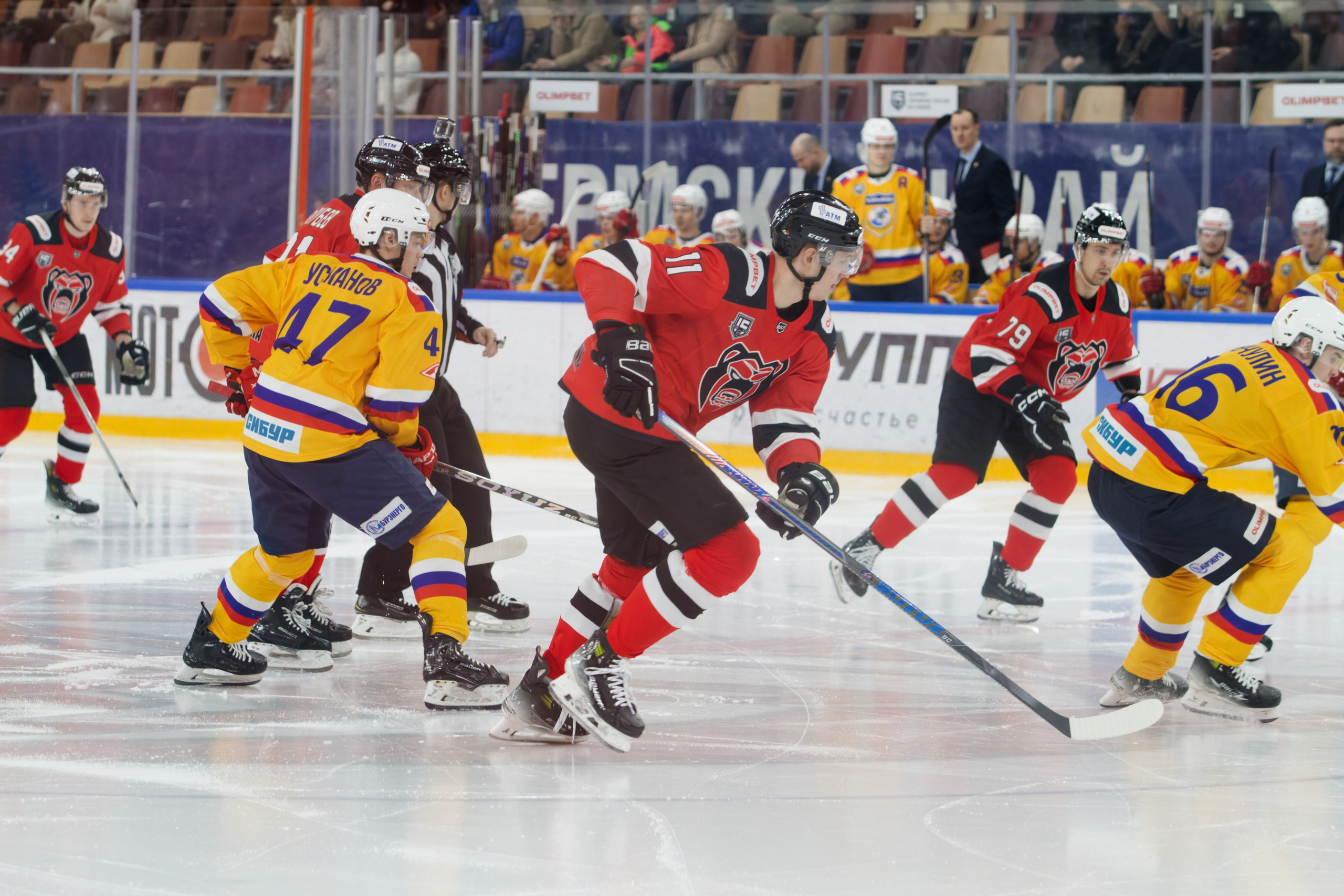Хоккей. Молот-Химик 12.02.2025. Репортажный и спортивный фотограф в г. Пермь Зильберг Павел