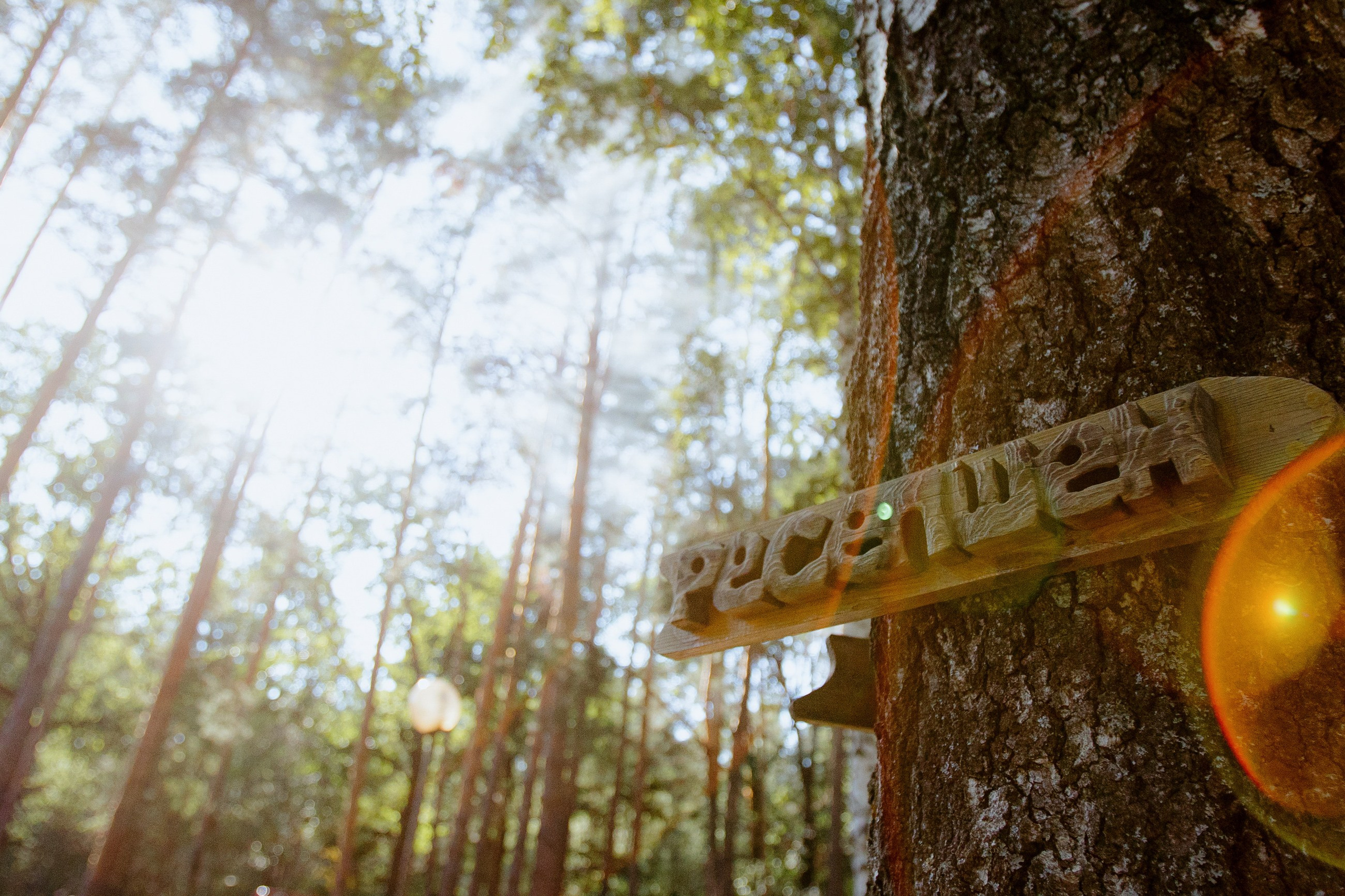 ART DENT корпоратив русский стиль. LEVORIGINAL