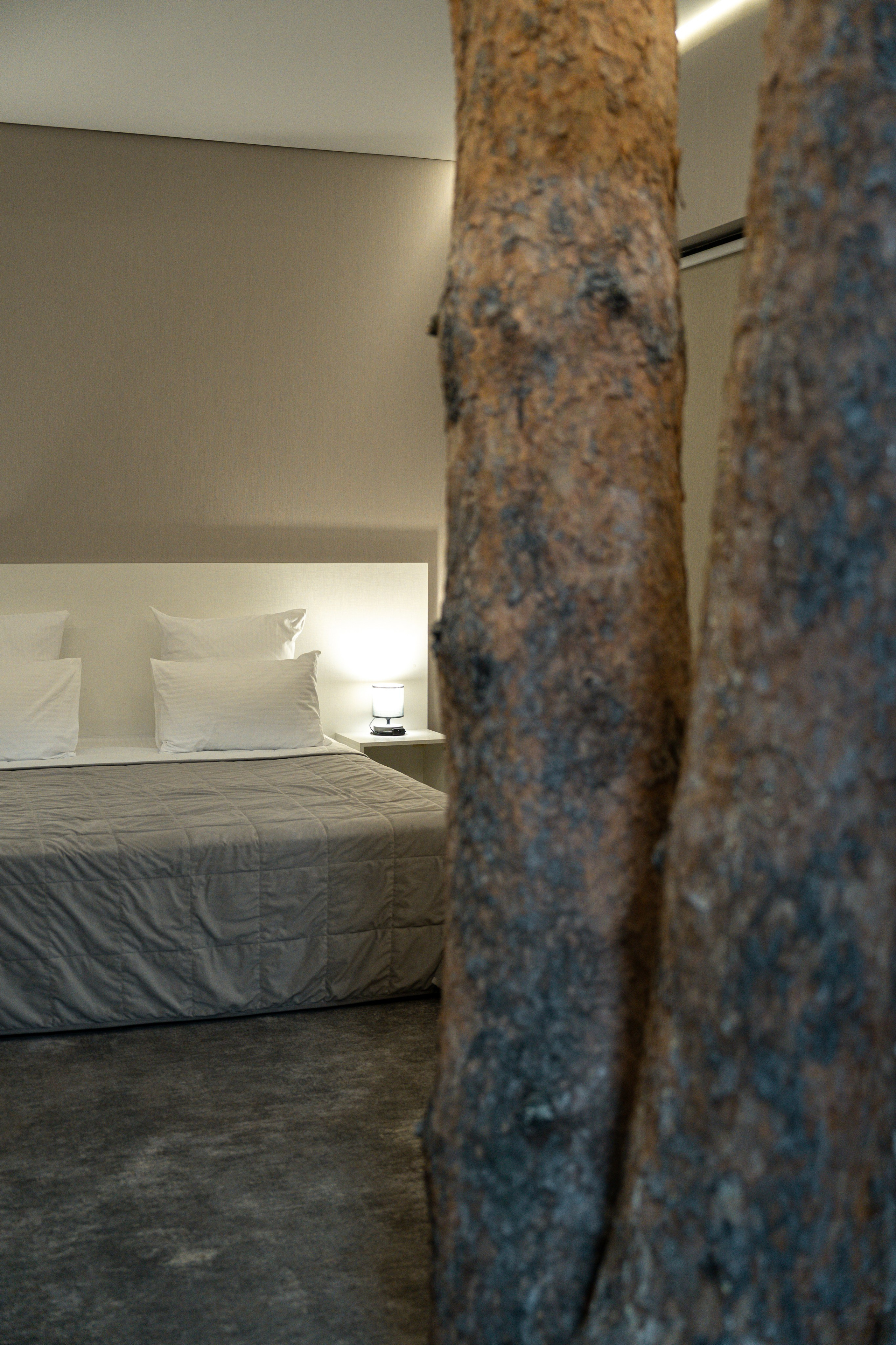 Эклер. Фотограф и видеограф Елена Хмелевская