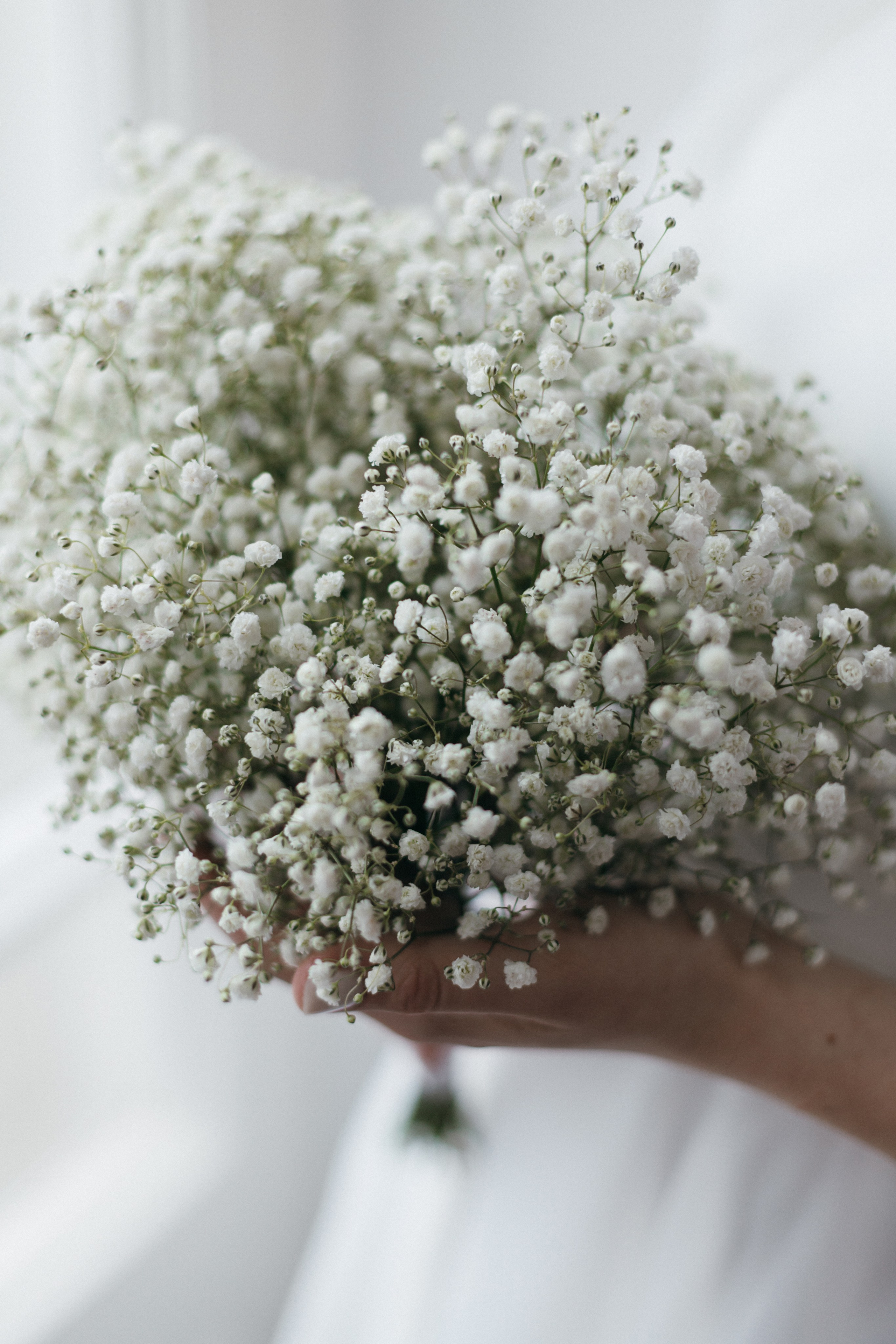 Полный день. Фотограф в Ростове-на-Дону Мария Безменова