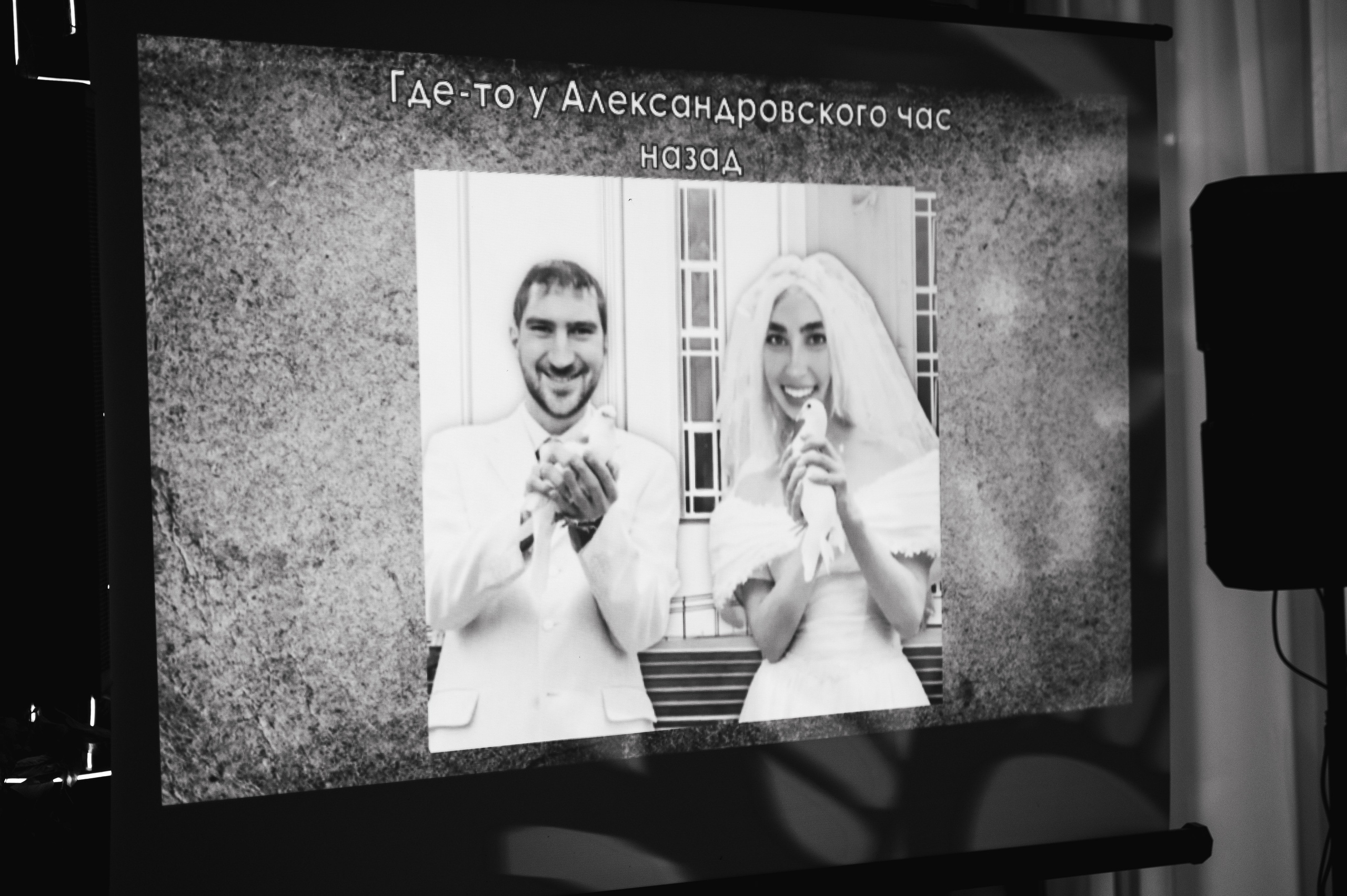 Гуси- Гуччи. Свадебный фотограф в Краснодаре и Сочи Комолова Екатерина