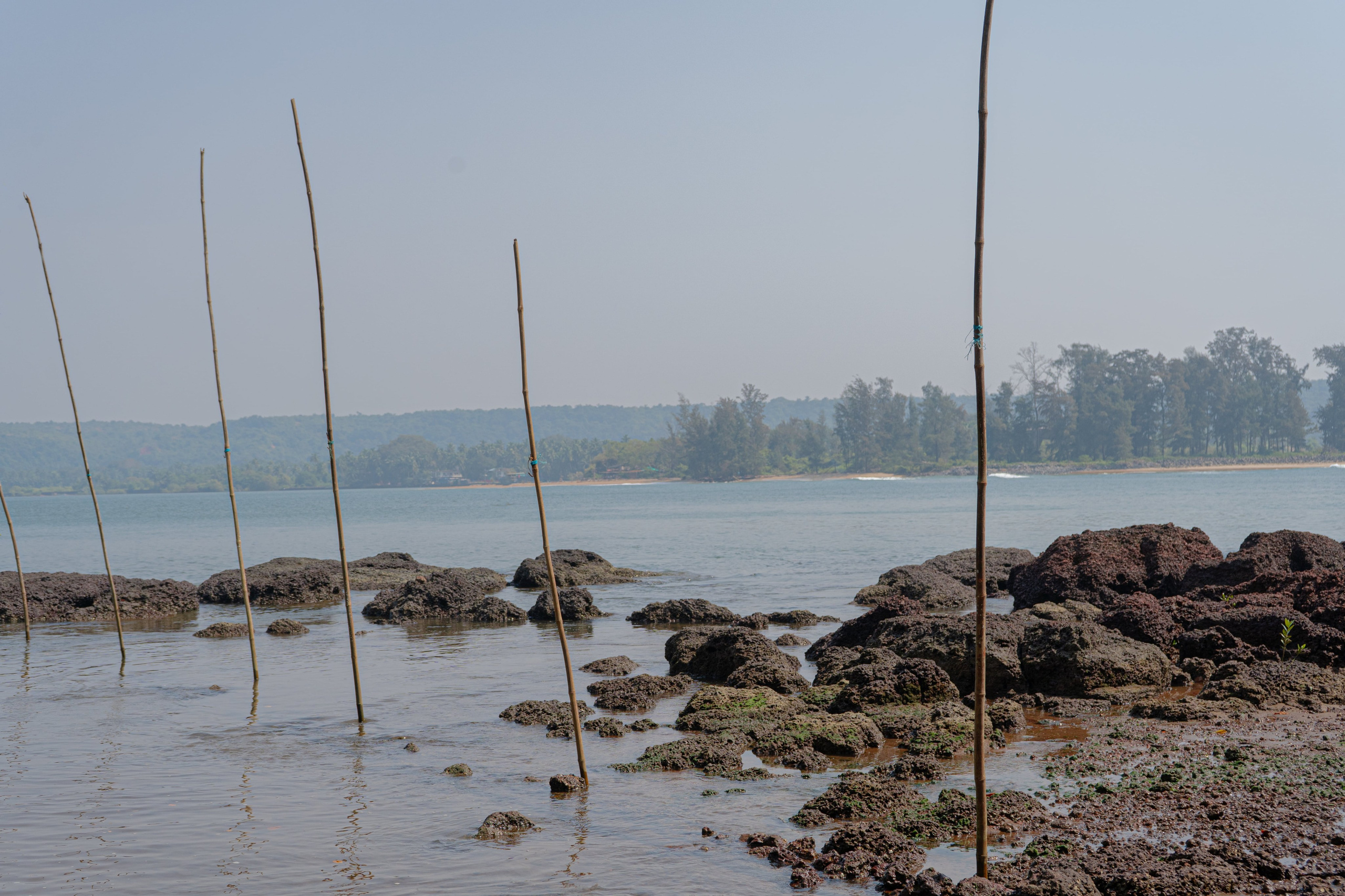 Индия. Alena Ahmadullina