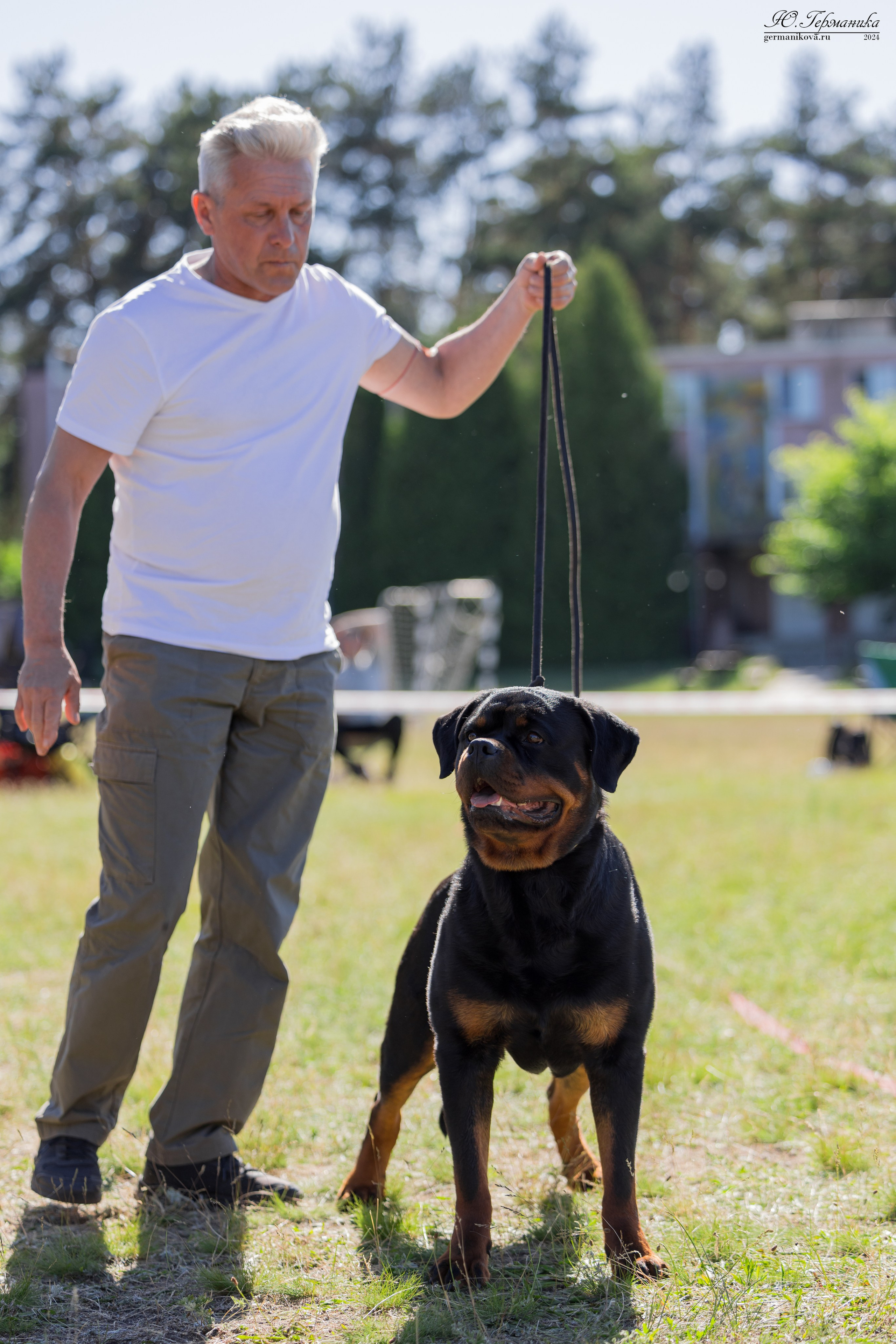 Воронеж моно ротвейлеров 25-26.05.2024. Фотограф-анималист Юлия Германика