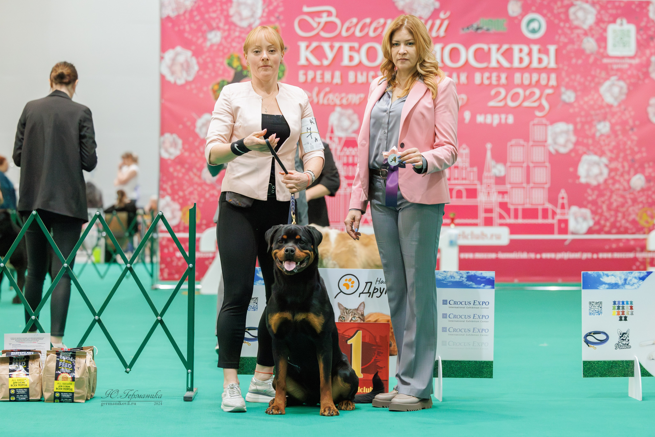 Сфера и Крокус 8,9,16 и 30.03.2025. Фотограф-анималист Юлия Германика