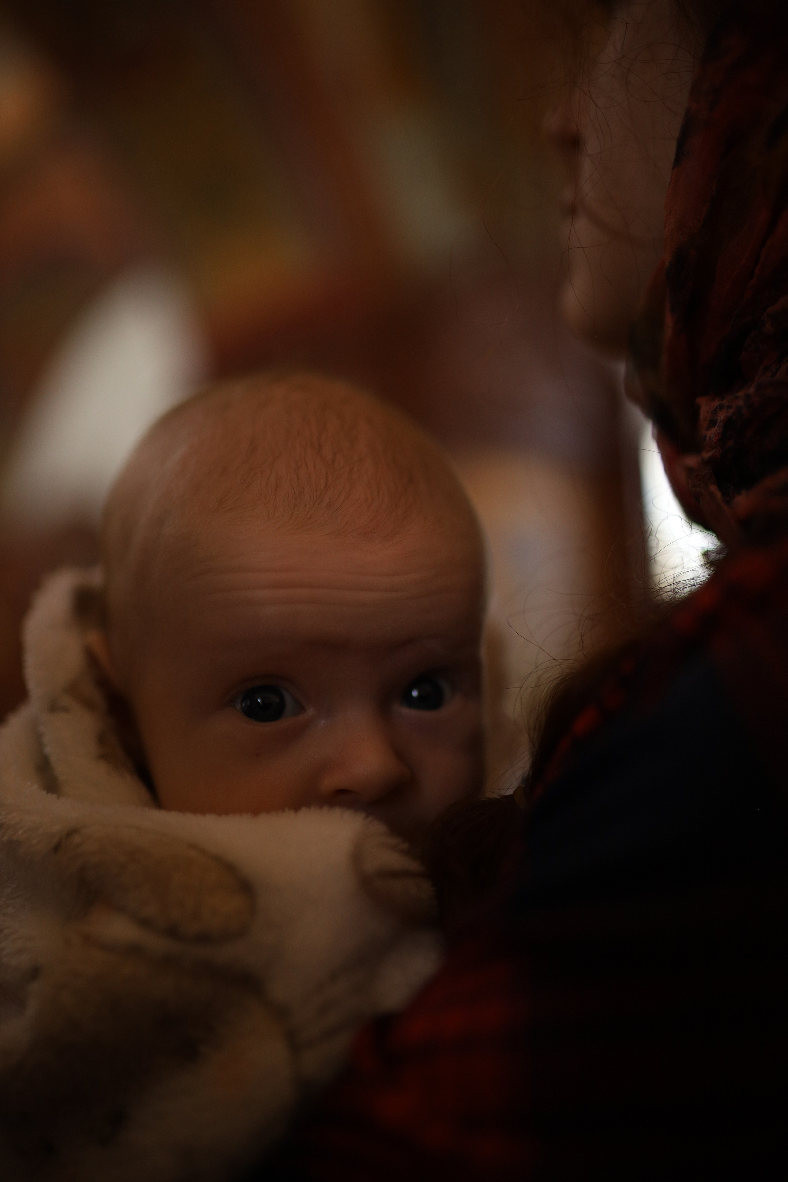 Мирон. Семейный фотограф Губкин/Старый Оскол