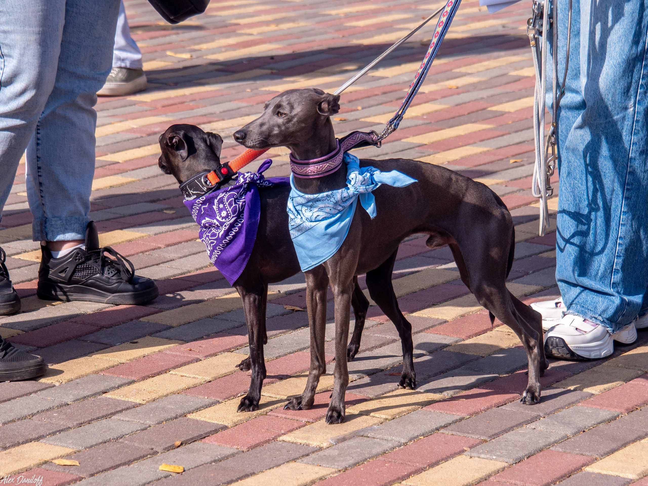 Обнимака 2025. Муром-Инфо. Новости культуры, образования, спорта в городе Муром