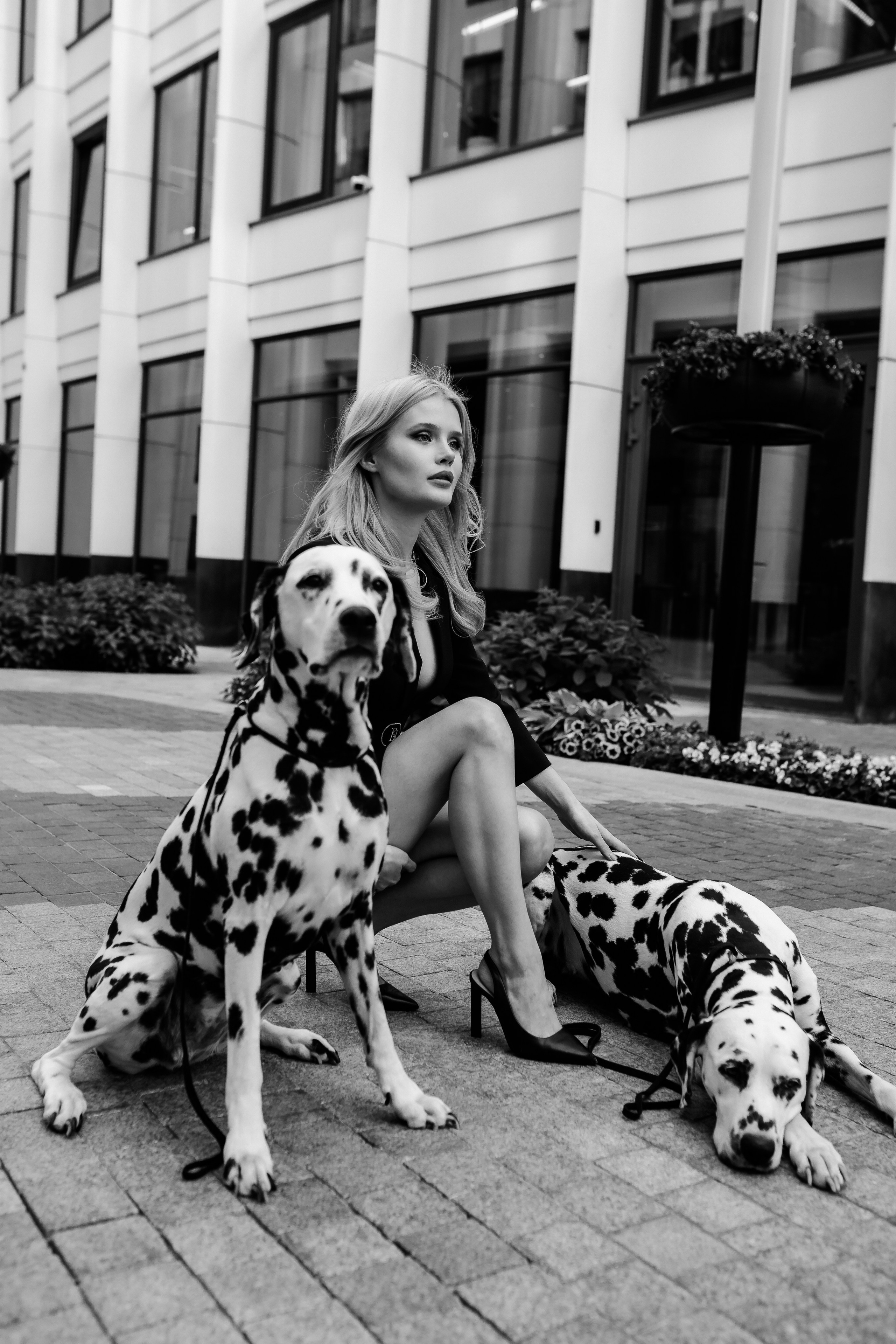 Новая Круэлла Девиль в действии. Свадебный фотограф в Москве