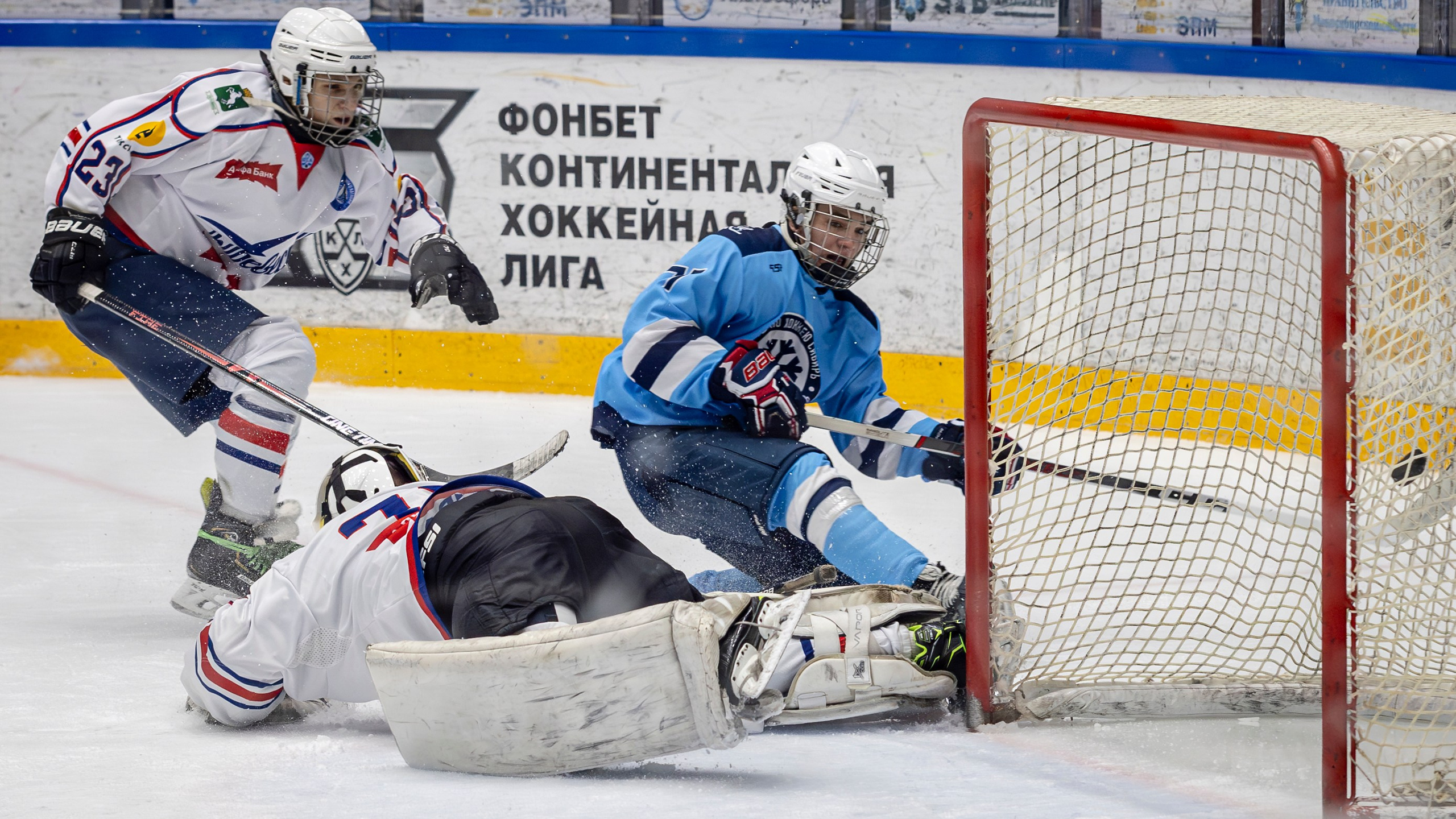 Контакты. Bertran Ordo