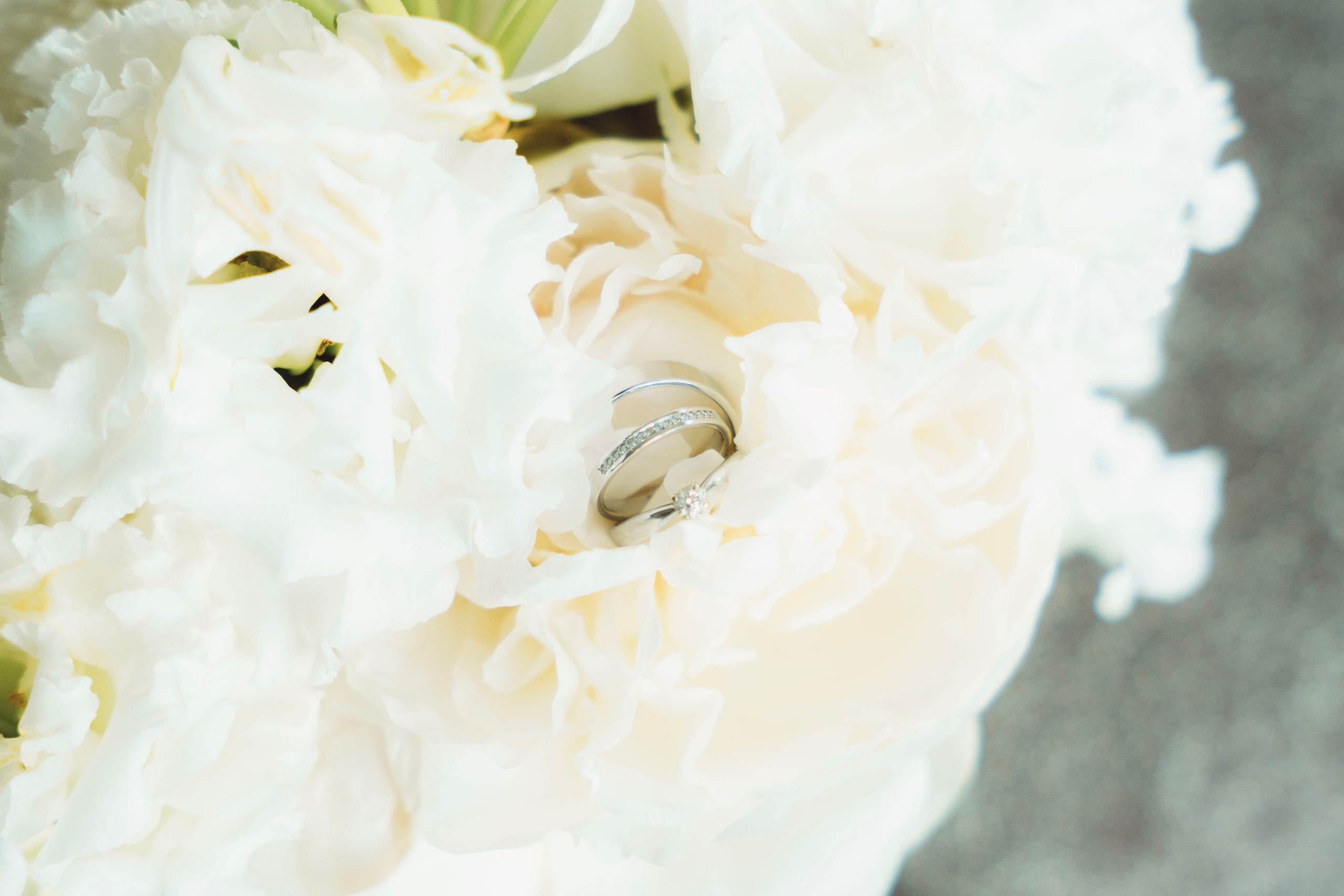 Юлия и Николай. Фотограф Юлия Попова