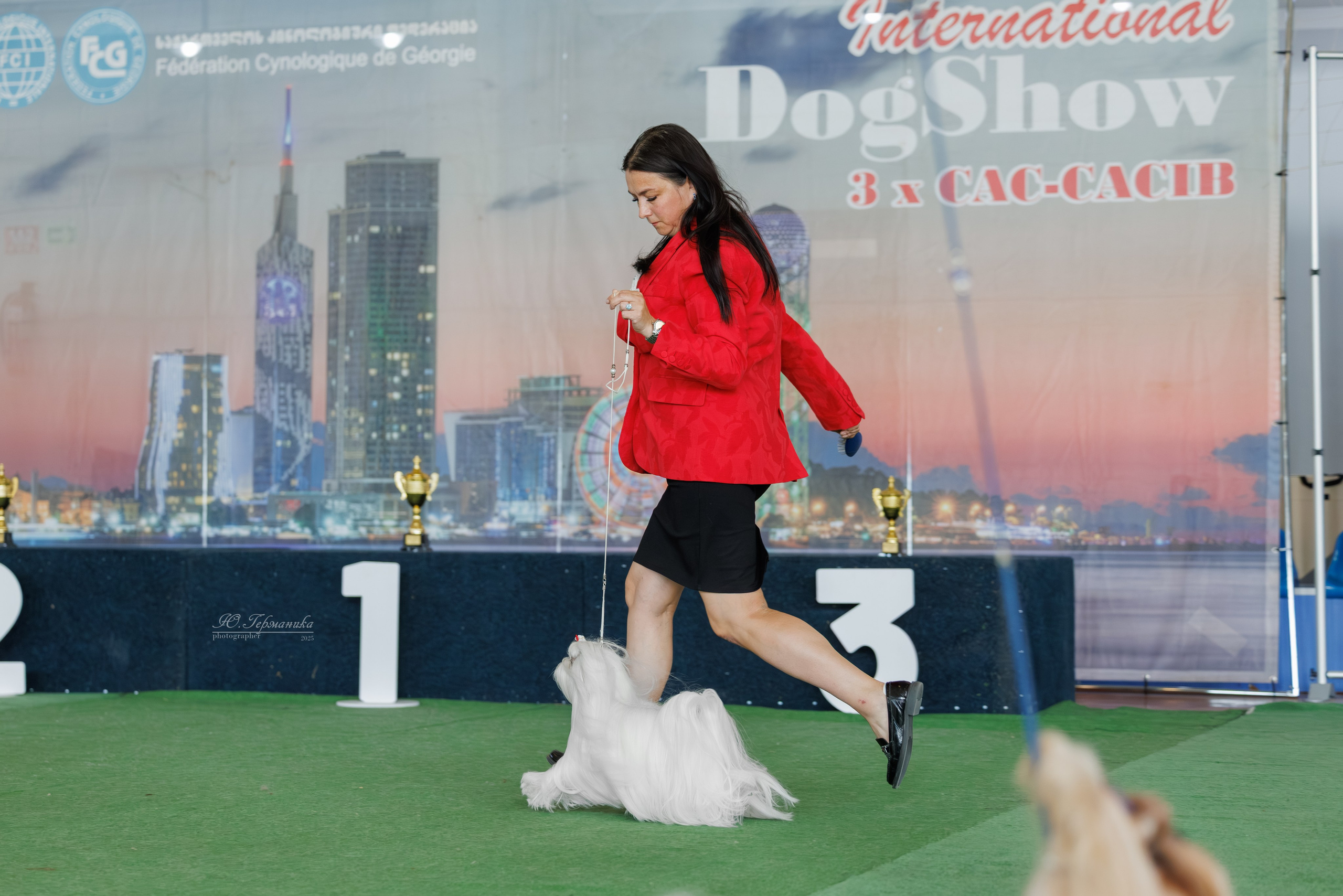 Батуми 3хCACIB 27-29.06.2025. Фотограф-анималист Юлия Германика