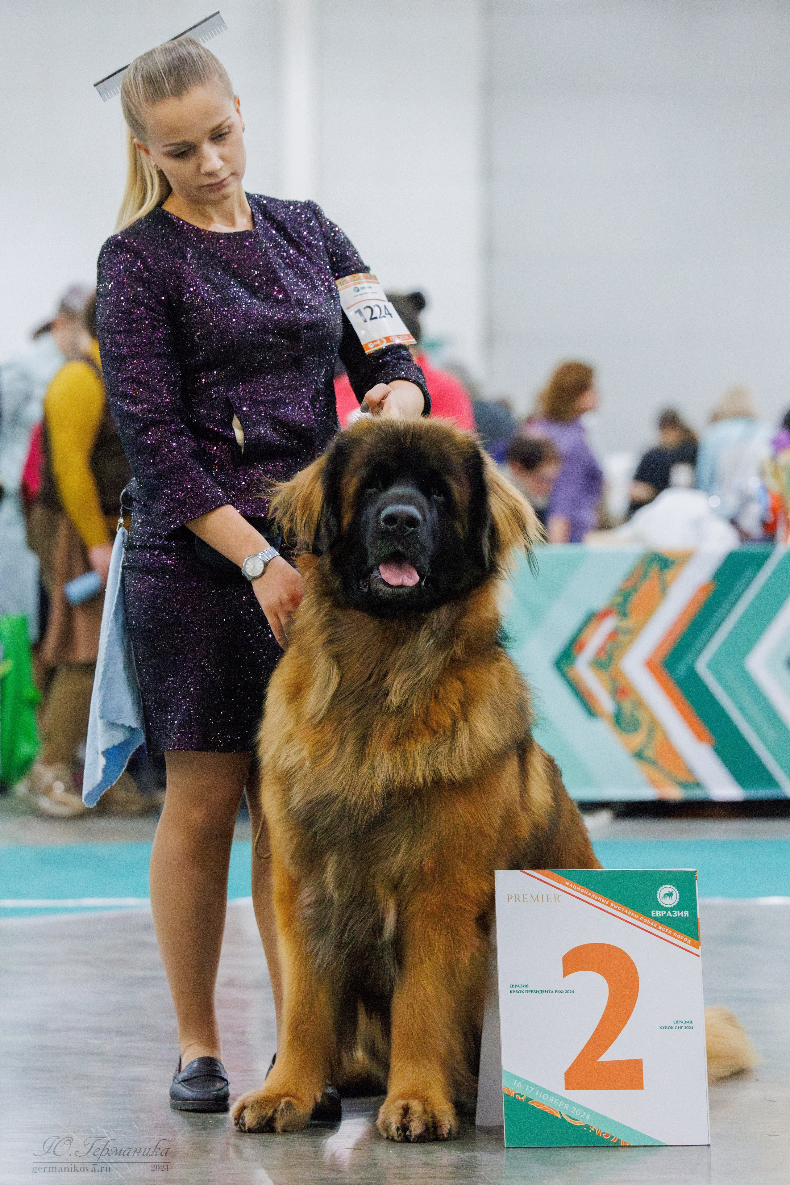Евразия 16-17.11.2024. Фотограф-анималист Юлия Германика