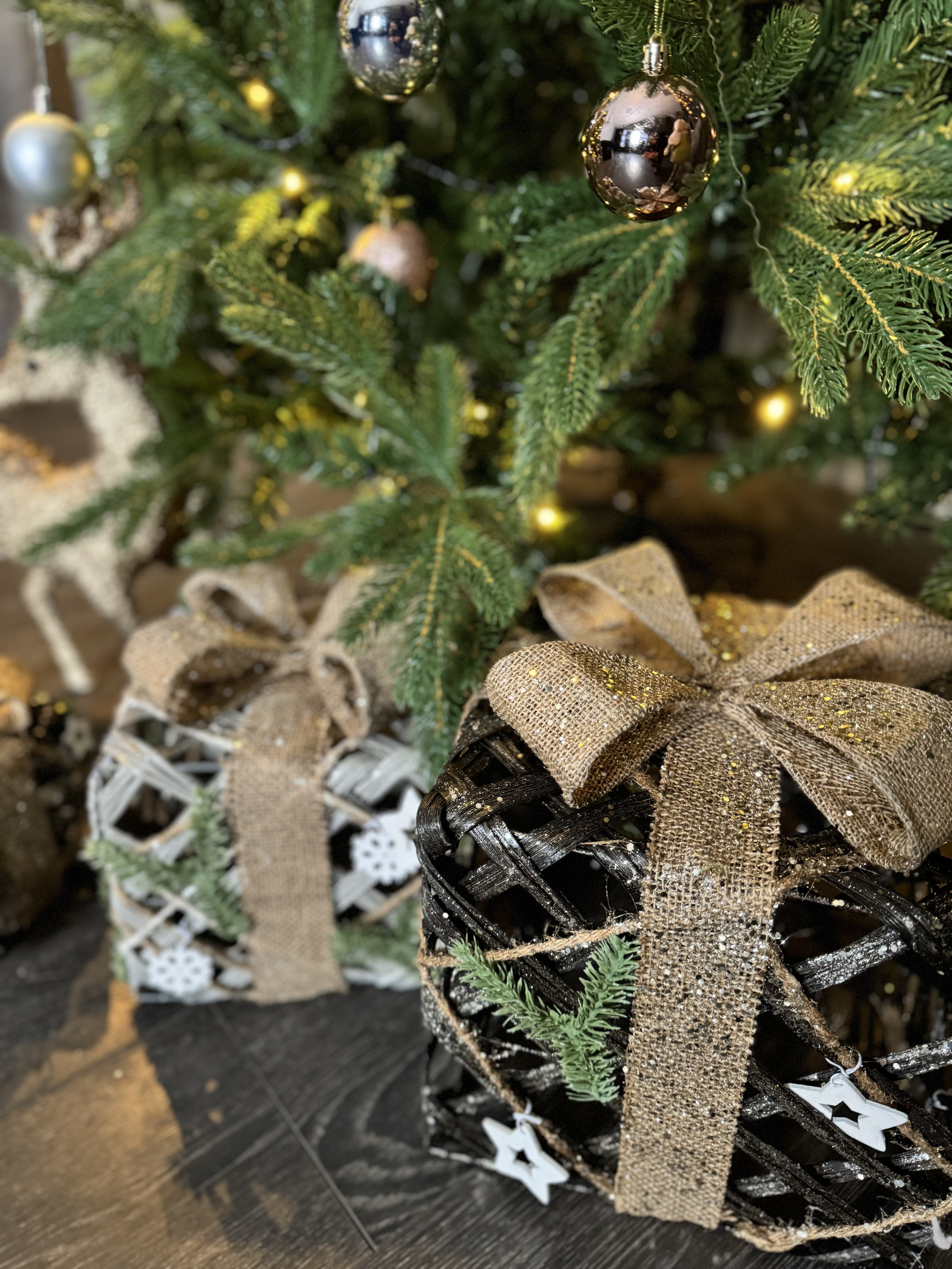 Зал Честер. Фотограф г. Хабаровск. Семейные и индивидуальные съёмки