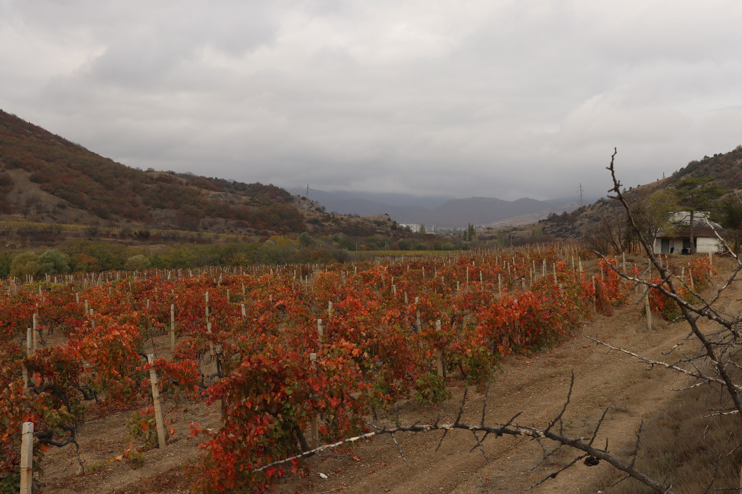 Крым. ЮБК (Гурзуф, Судак и их окрестности). Ноябрь 2023. Путешественник-фотограф из Санкт-Петербурга Татьяна Свистулина