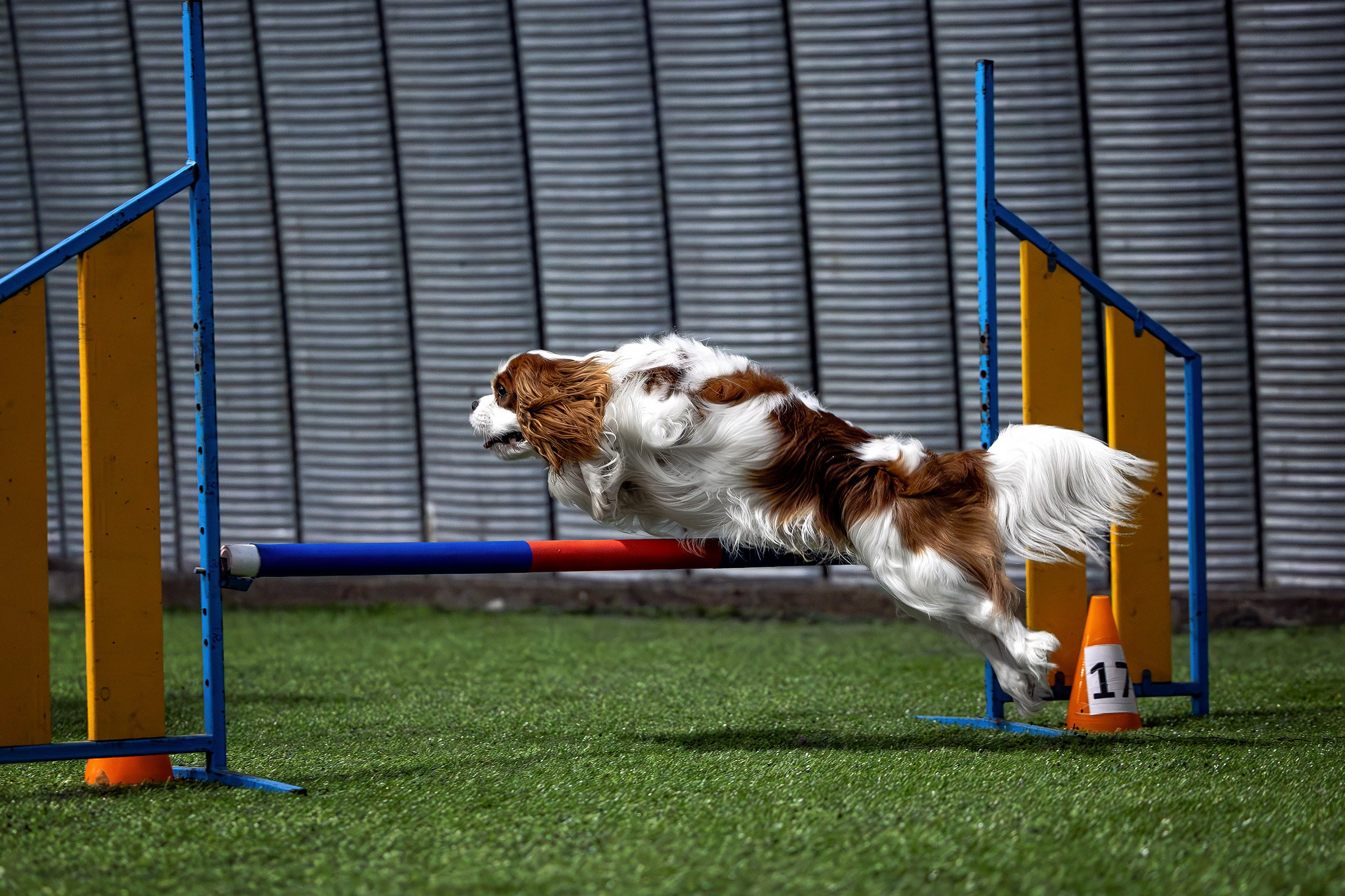 Услуги. Htykk_photo