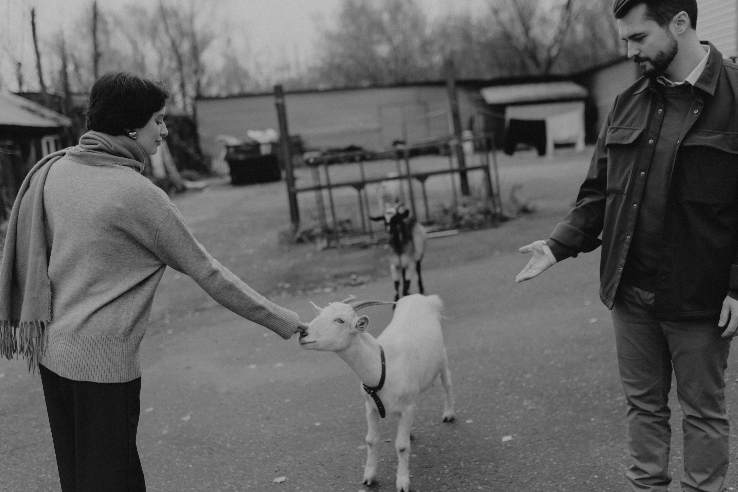 Диана и Антон. Свадебный и семейный фотограф Женя Добрянская в Нижнем Новгороде