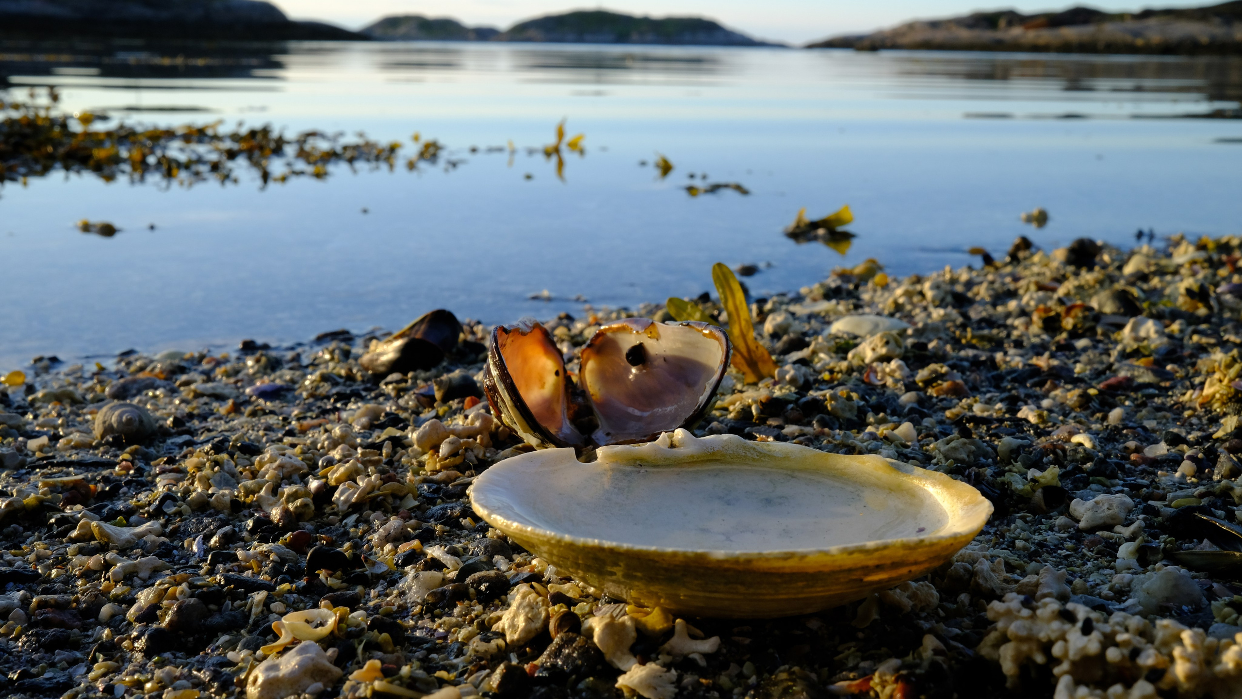 Баренцево море. Пейзажи Крайнего Севера. Баренцево море, Рыбачий, Средний, Немецкий