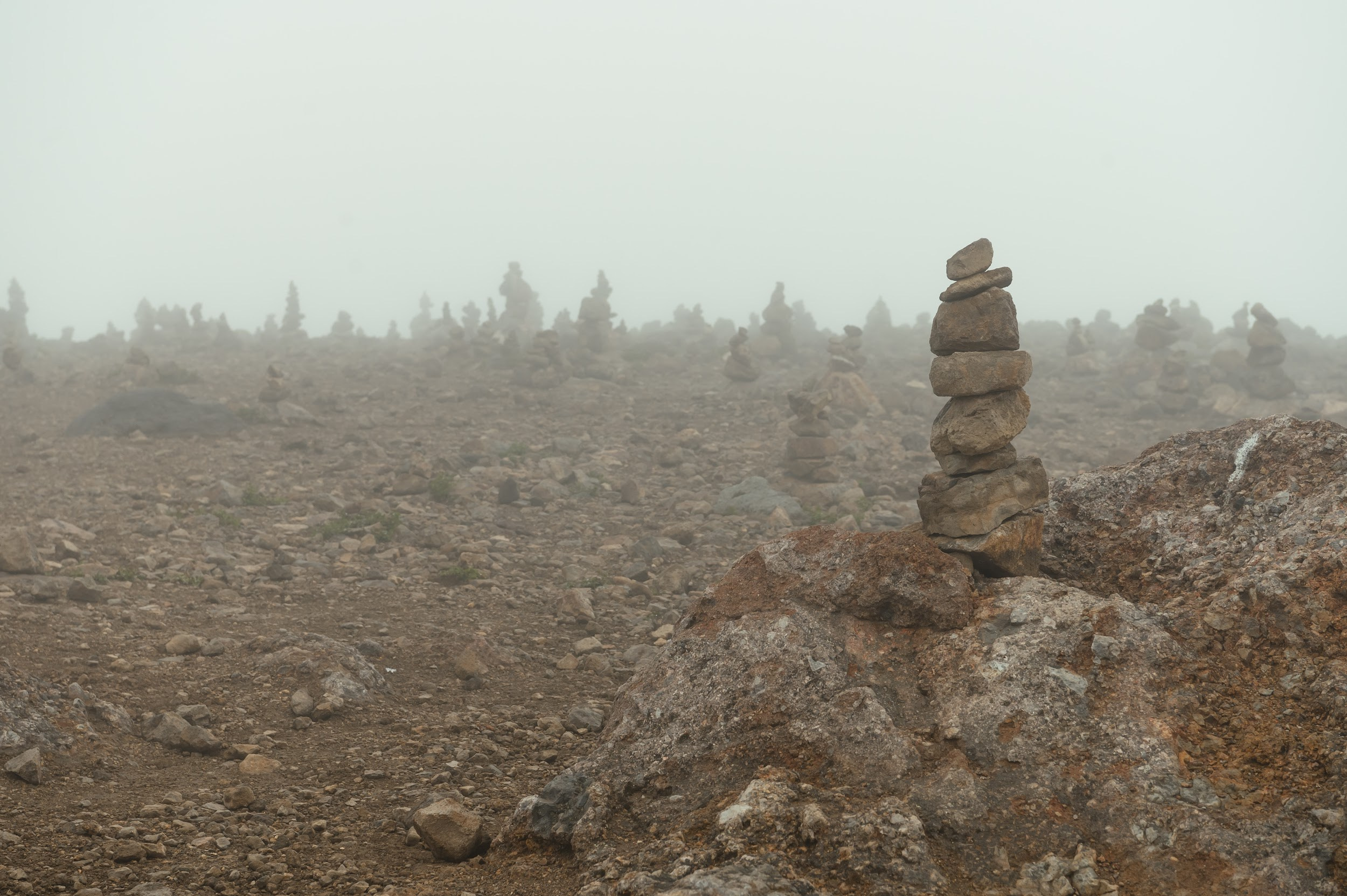 Камчатка 08.2024. Фотограф Марина Росси