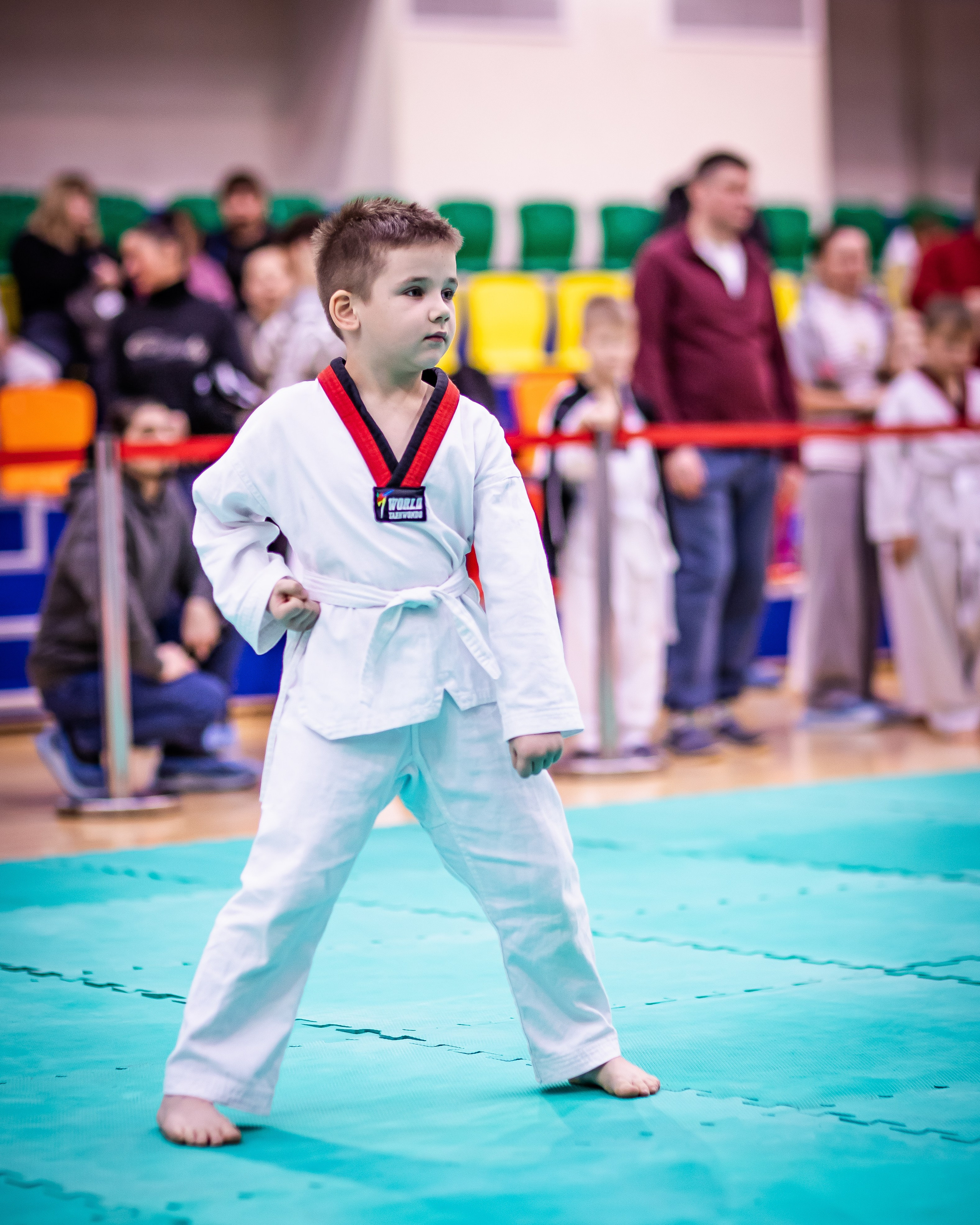 Турнир Федерации детского тхэквондо России по дисциплине ПХУМСЭ. Спортивный фотограф Максим Серегин
