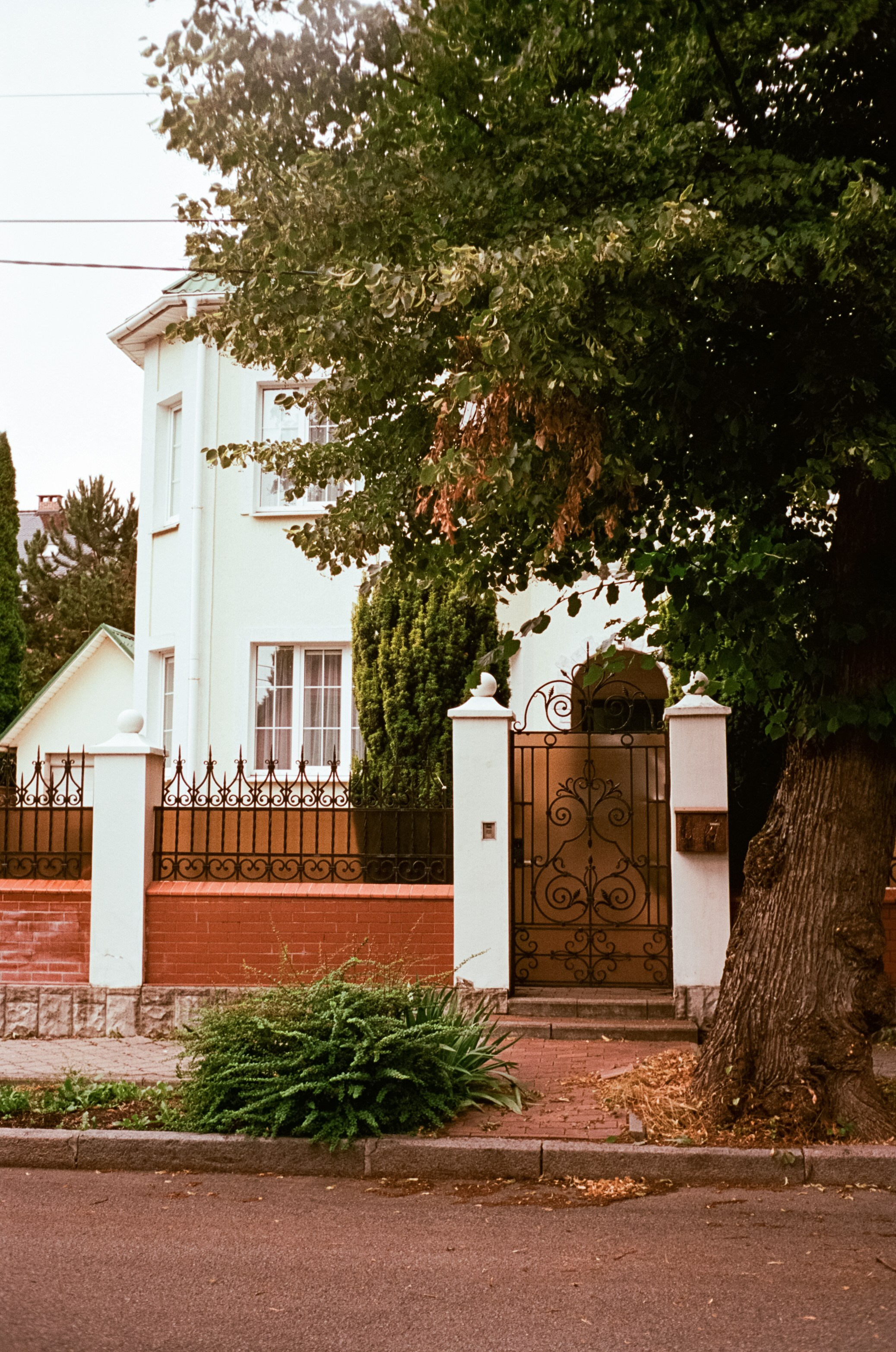 Калининград в солнечный день 7 июля 2024 года / Aerocolor IV / Minox 35GT (2)