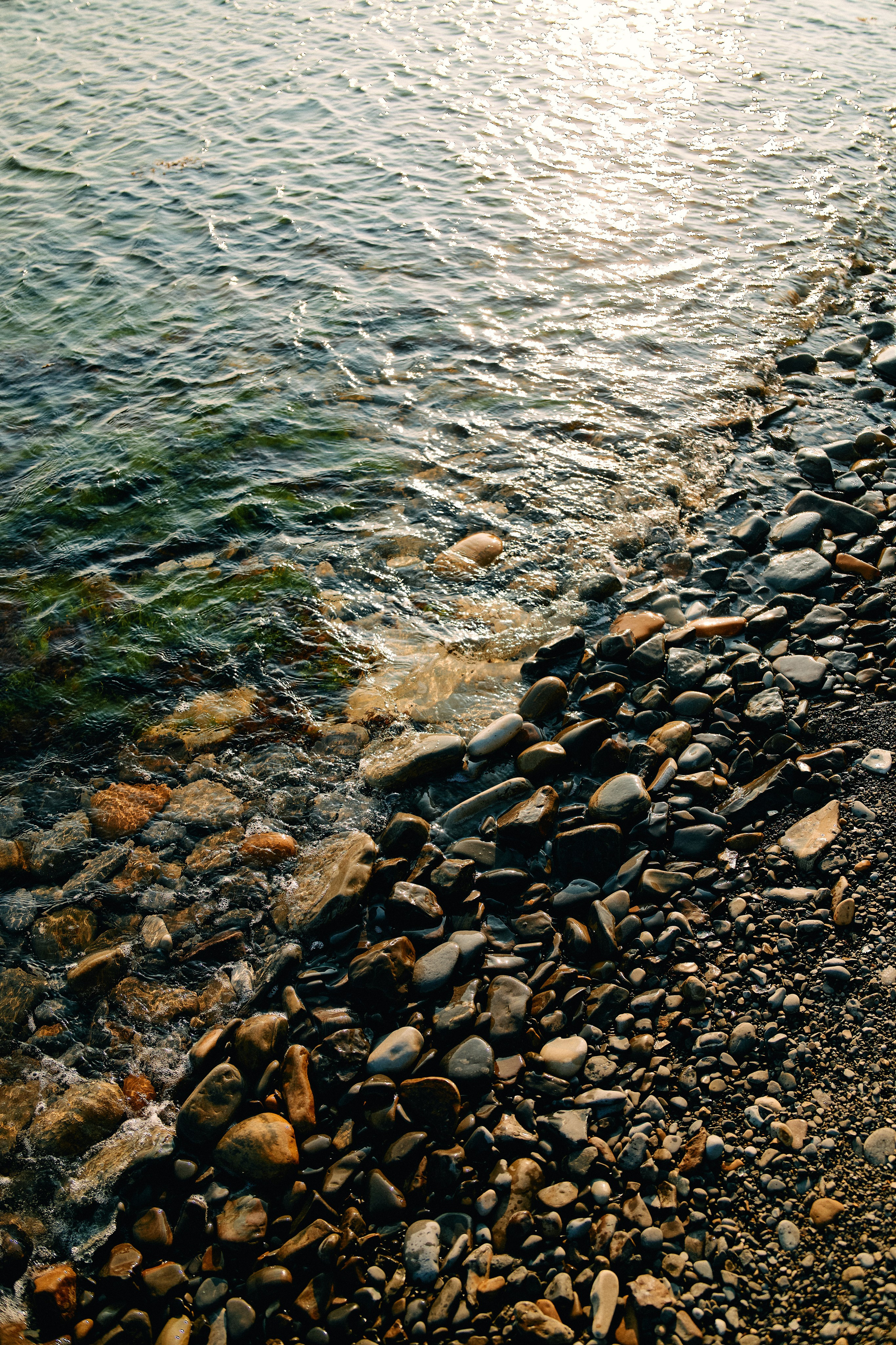 Юг России. Профессиональный Фотограф во Владимире, в Москве и в Суздале — Полина Романычева