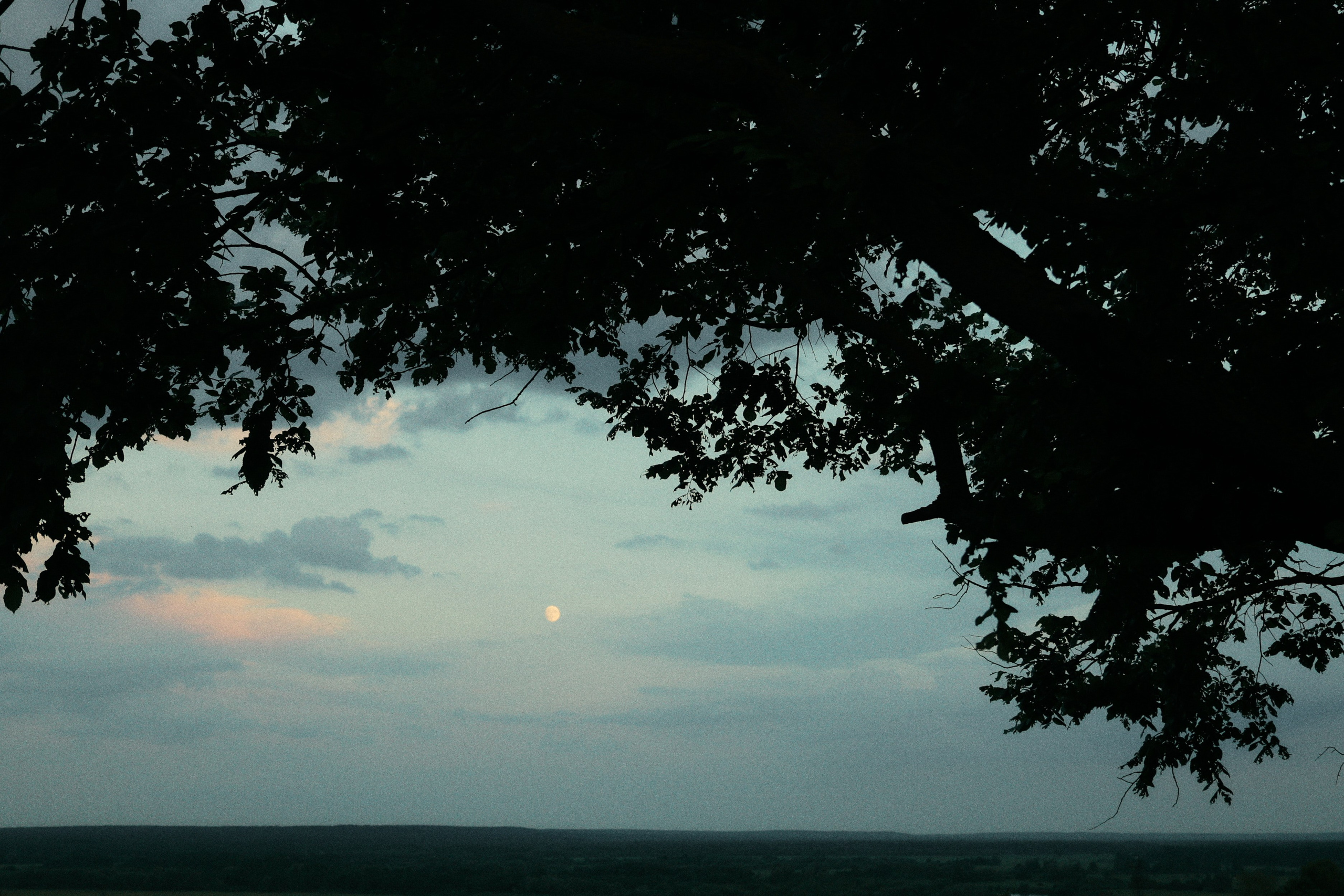Атмо. Фотограф во Владимире, Москве и Суздале — Полина Романычева