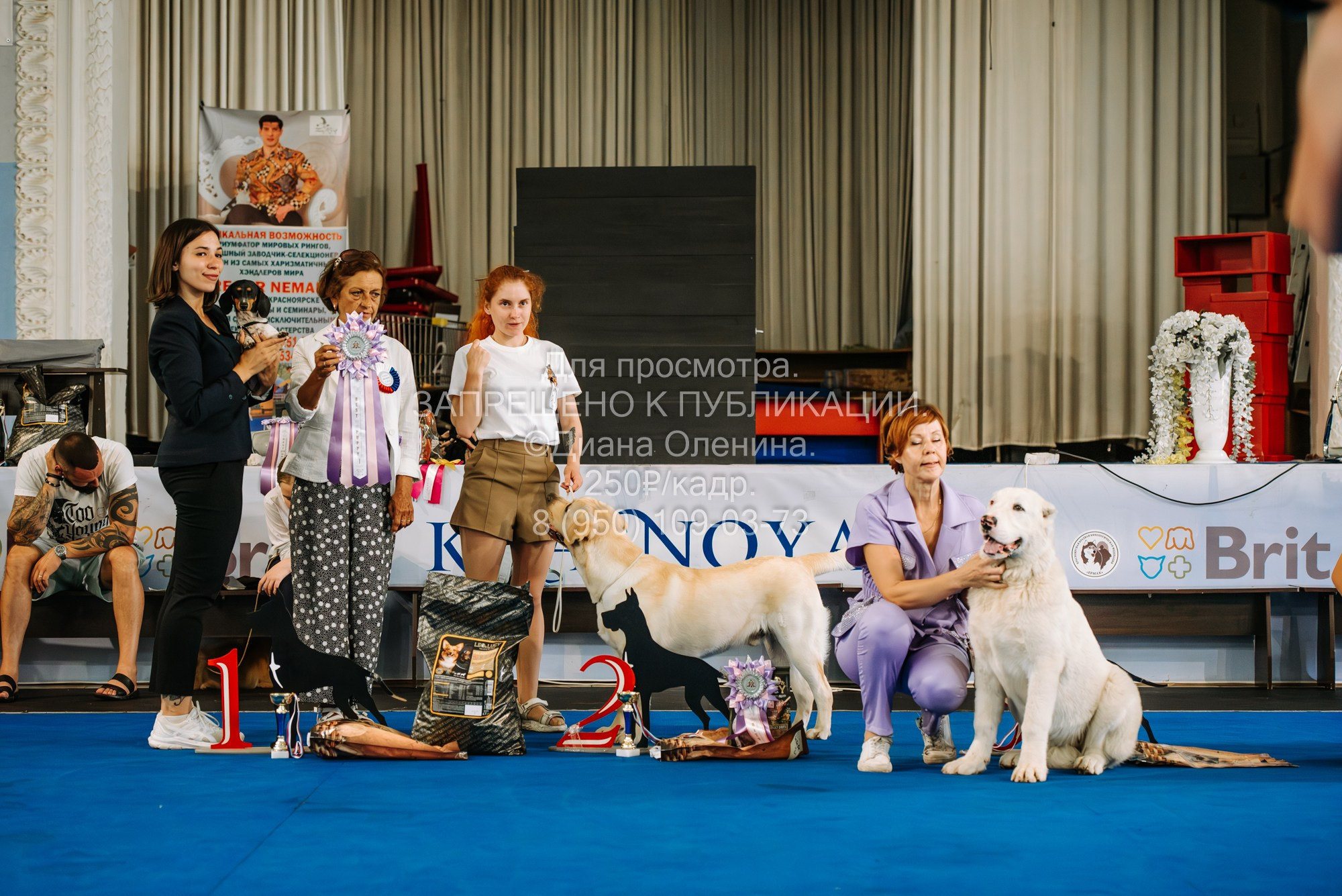 Национальная выставка собак всех пород ранга САС-IKU «Кубок Красноярск. Фотограф Диана Оленина Красноярск / Братск