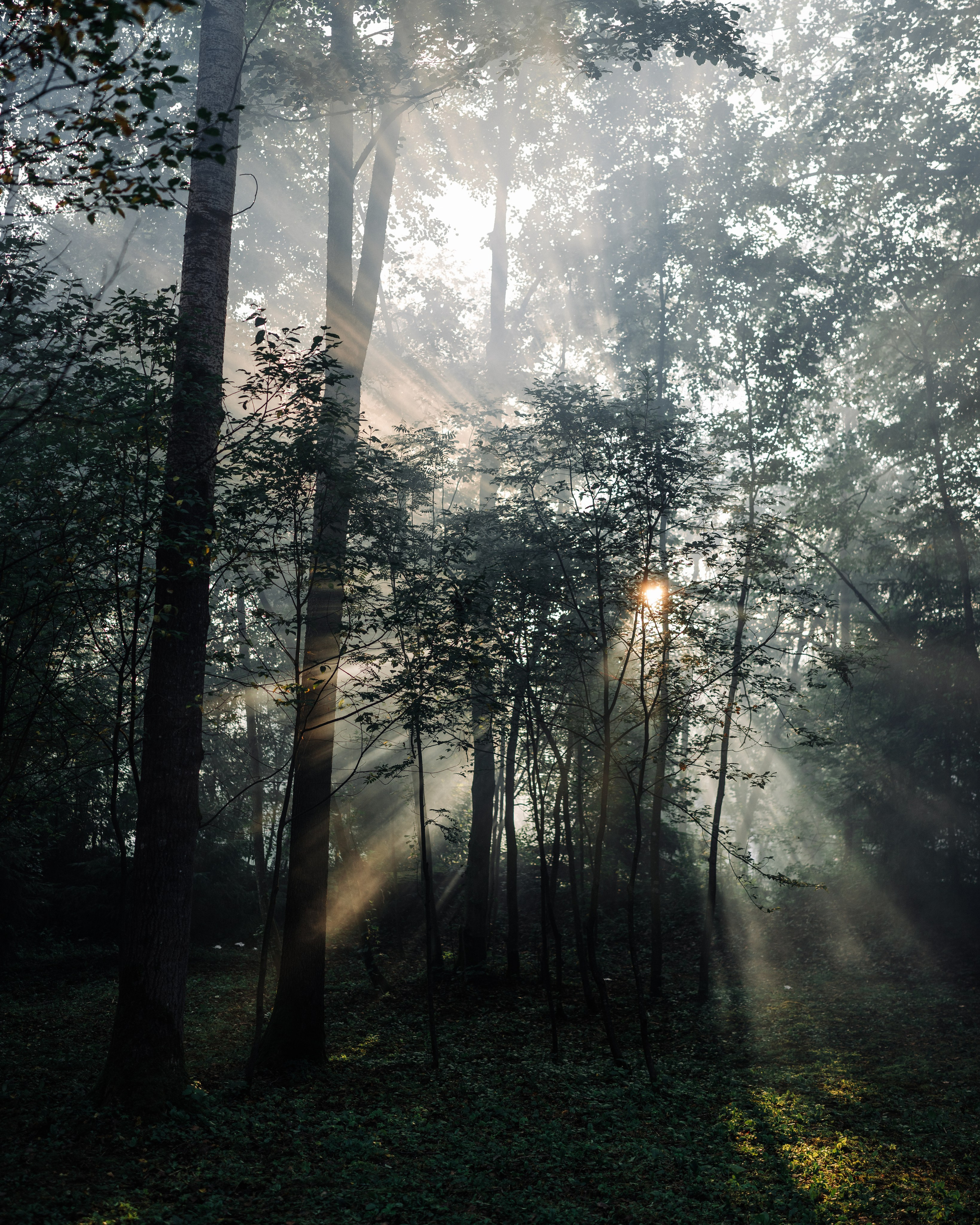 Outline 2024. @tomrus: Рустам Шагиморданов — фотограф