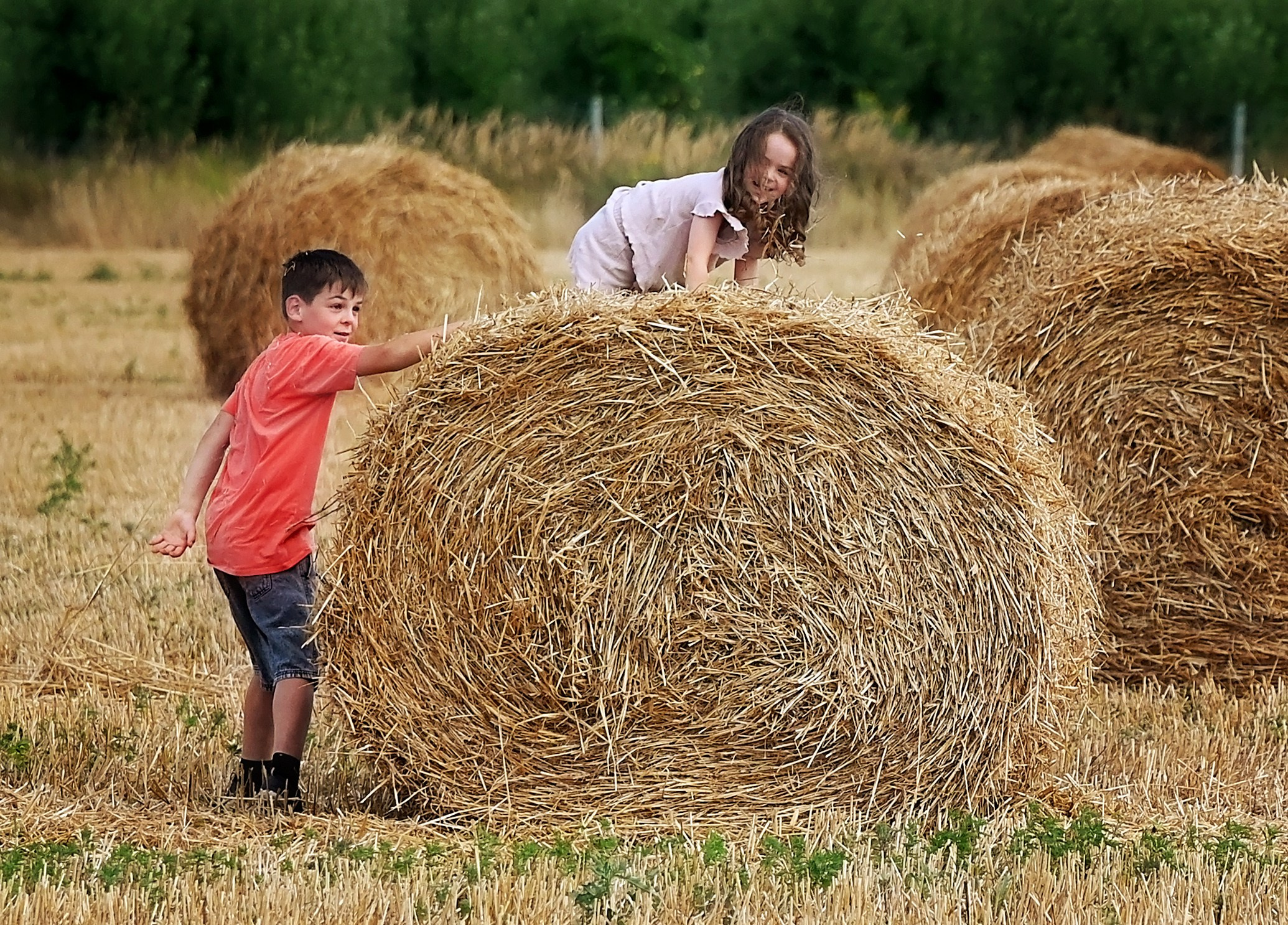 Сено. Главная