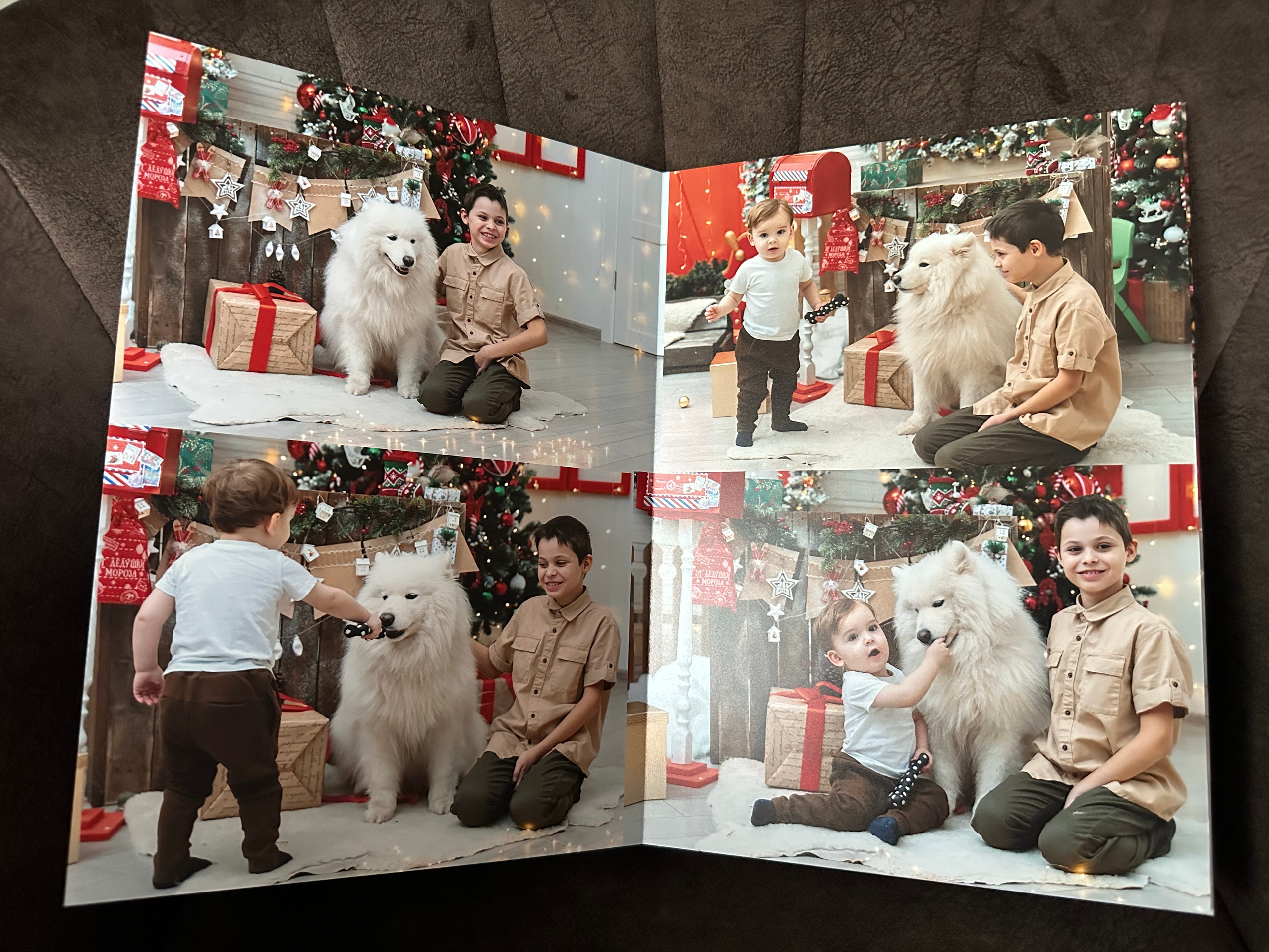 Книга для Яны 21*30. Фотограф г. Пенза — Светлана Зойкина