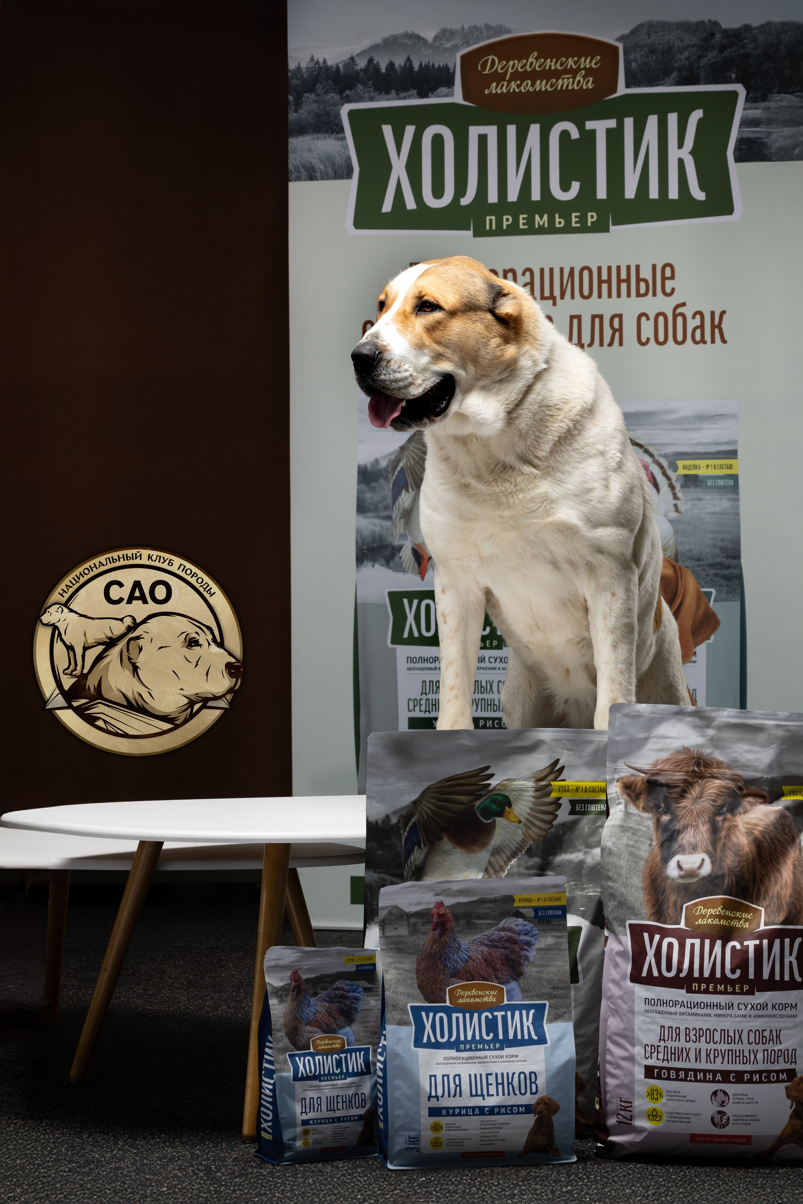 Фотограф-анималист и бренд-фотограф в Москве | Фотография собак, людей, бизнес-портрет