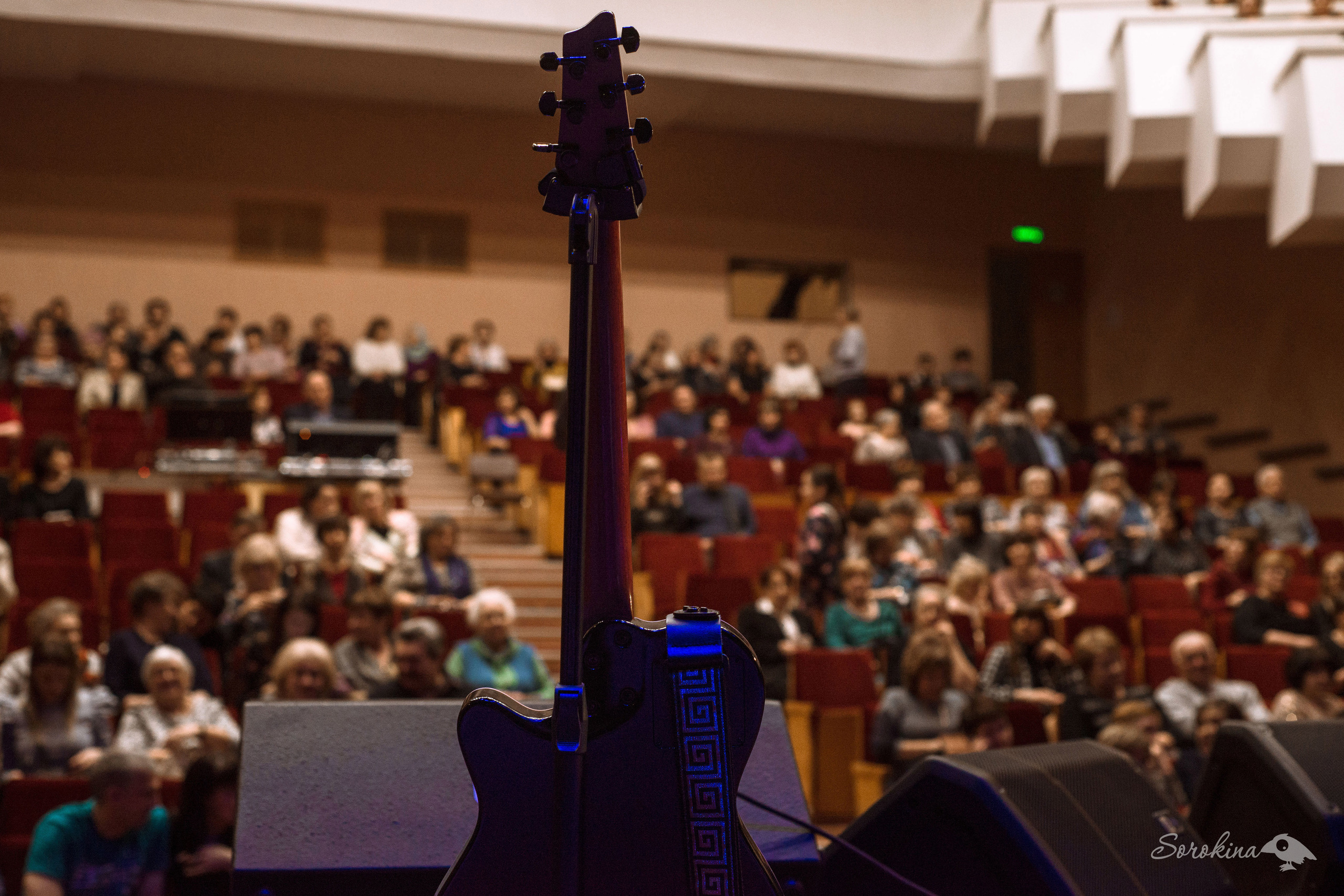 Концертный фотограф Наталья Сорокина