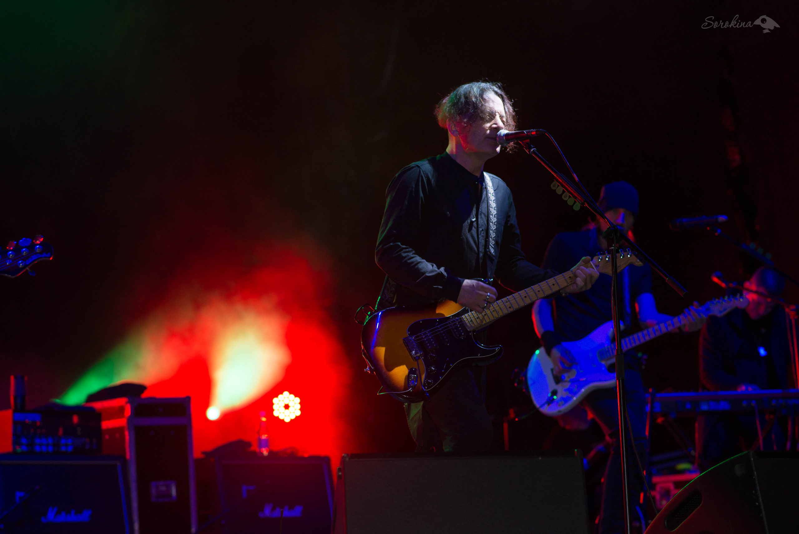 Концертный фотограф Наталья Сорокина