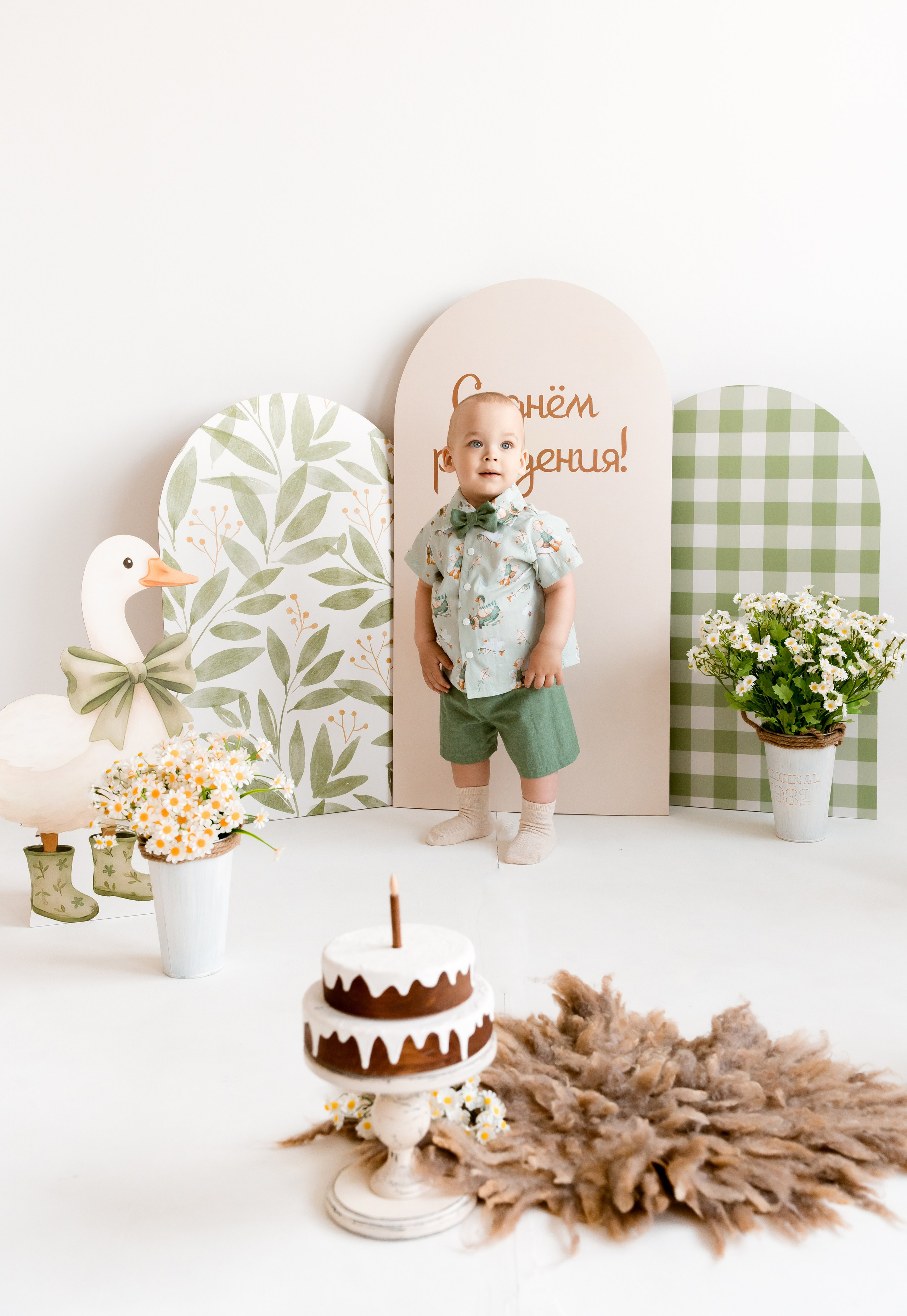 Гуси. Детский и семейный фотограф, Newborn фотограф новорожденных г. Челябинск