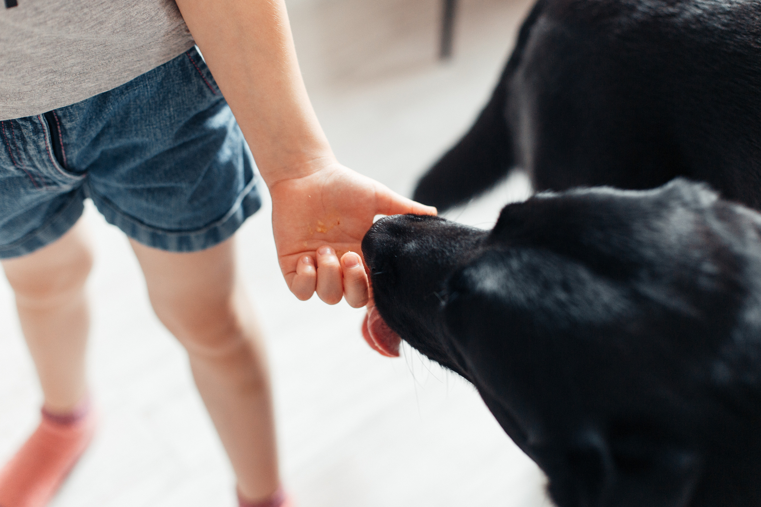 Домашнее печенье. Семейный фотограф в Москве. Дарья Долгих