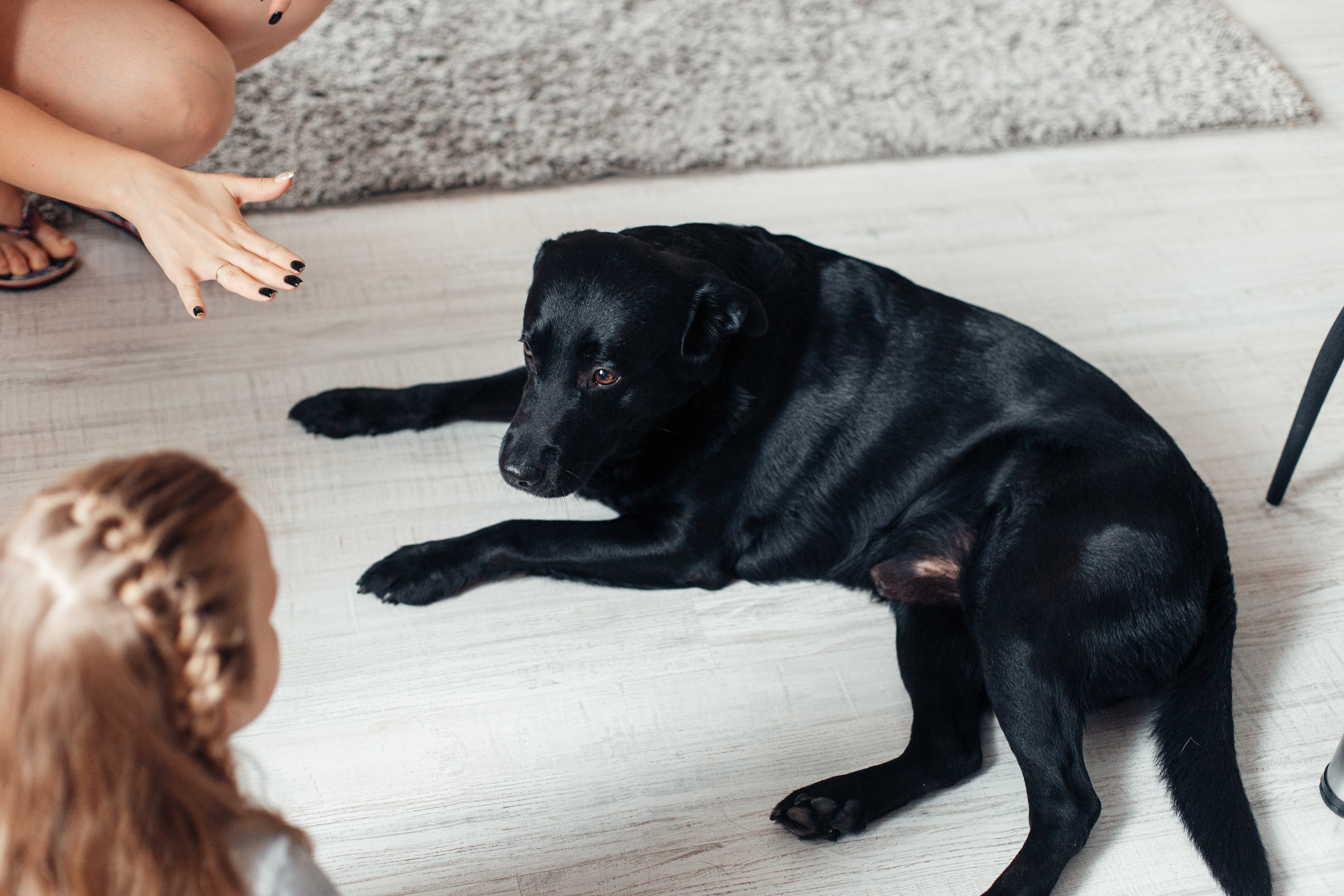 Домашнее печенье. Семейный фотограф в Москве. Дарья Долгих