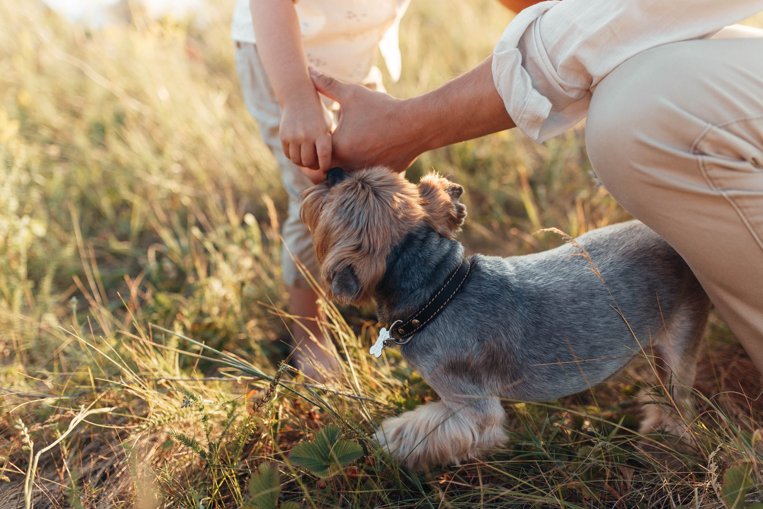 Закат у озера. Семейный фотограф в Москве. Дарья Долгих