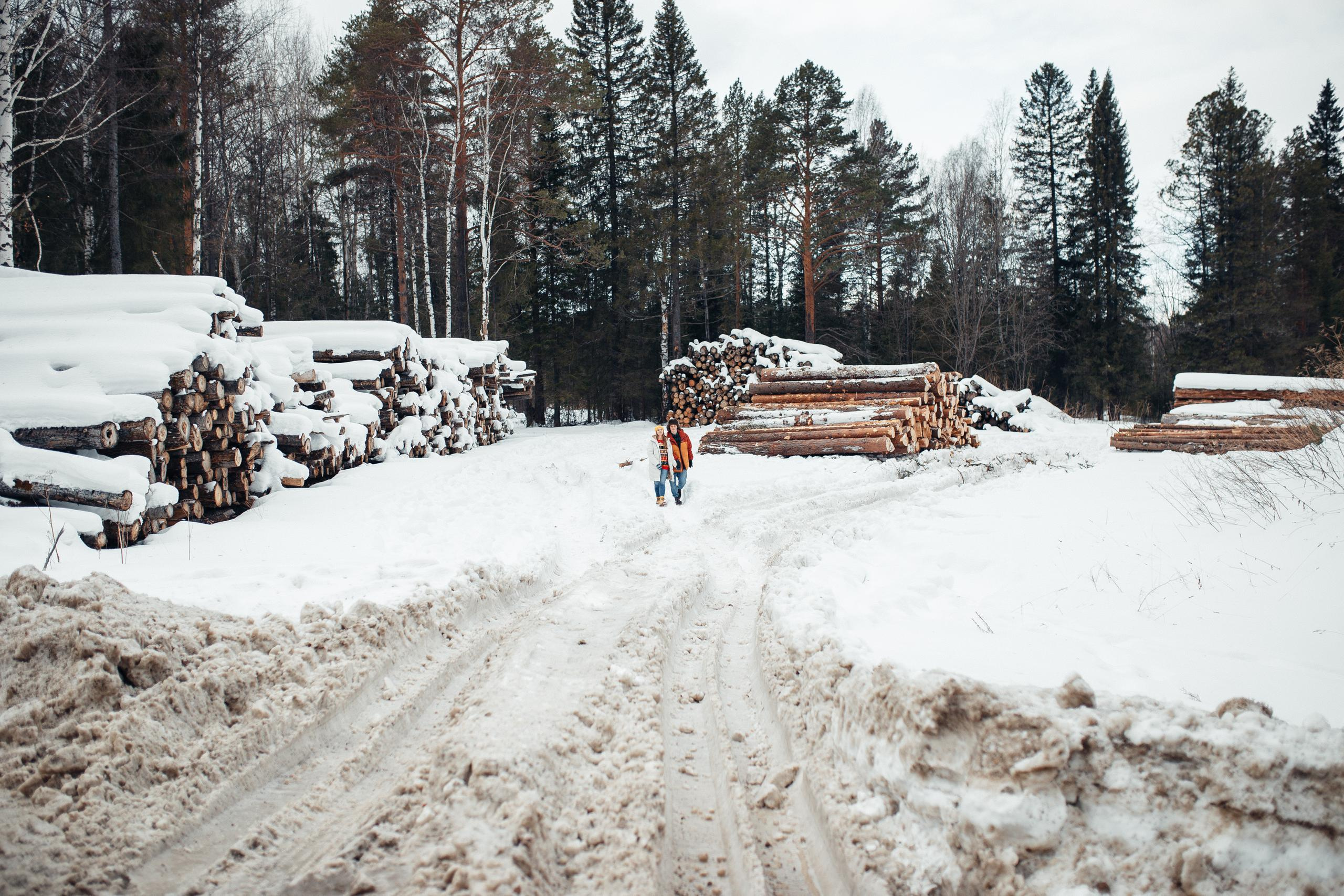 Зимний лес. Семейный фотограф в Москве. Дарья Долгих