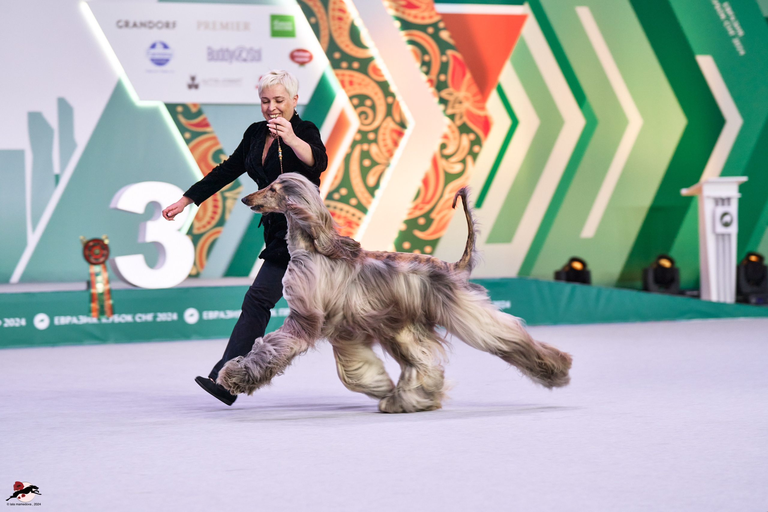 17.11.2024 «ЕВРАЗИЯ. КУБОК СНГ 2024»