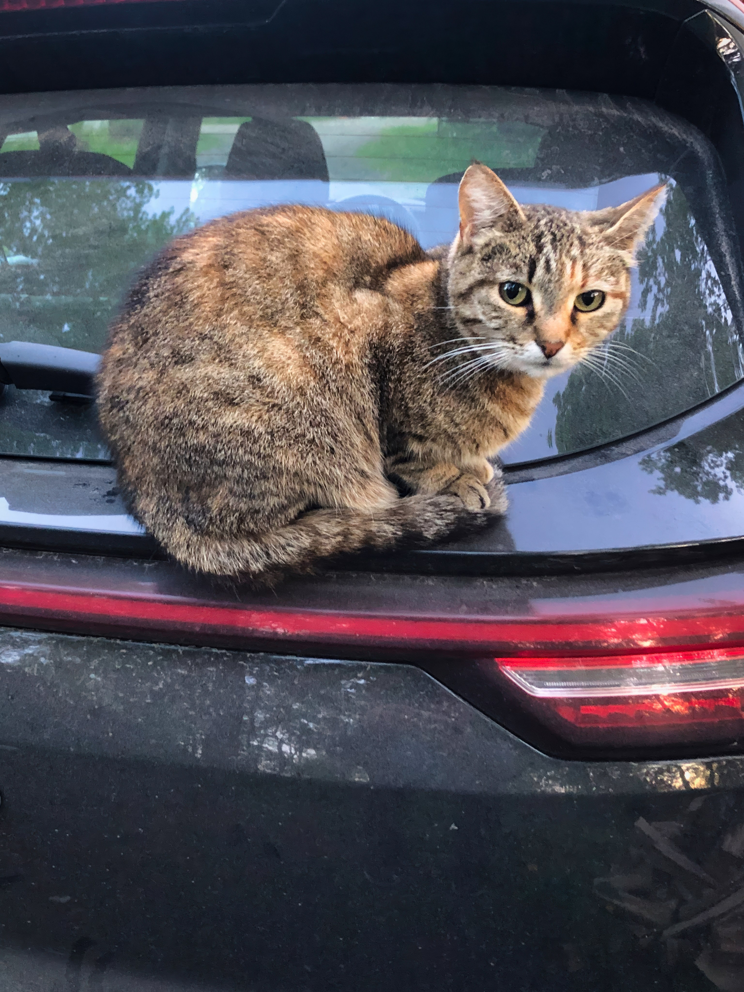 На берегу Угры. Конец мая 2024 года. Фотограф Никифоров-Гордеев Сергей. Москва и МО