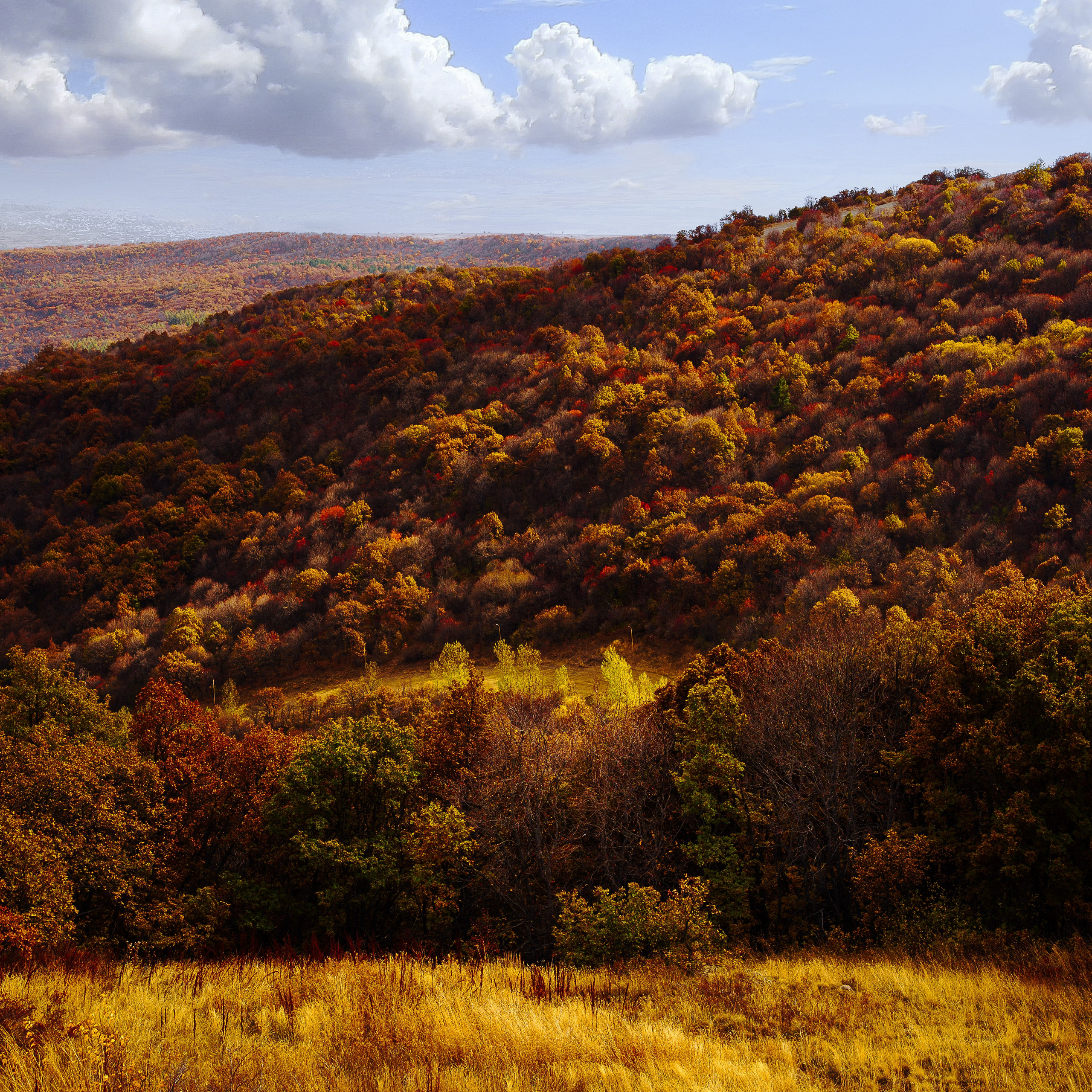 Landscapes. Oleg Kozachok — Photographer with Protanopia | Portraits, Texture & Light