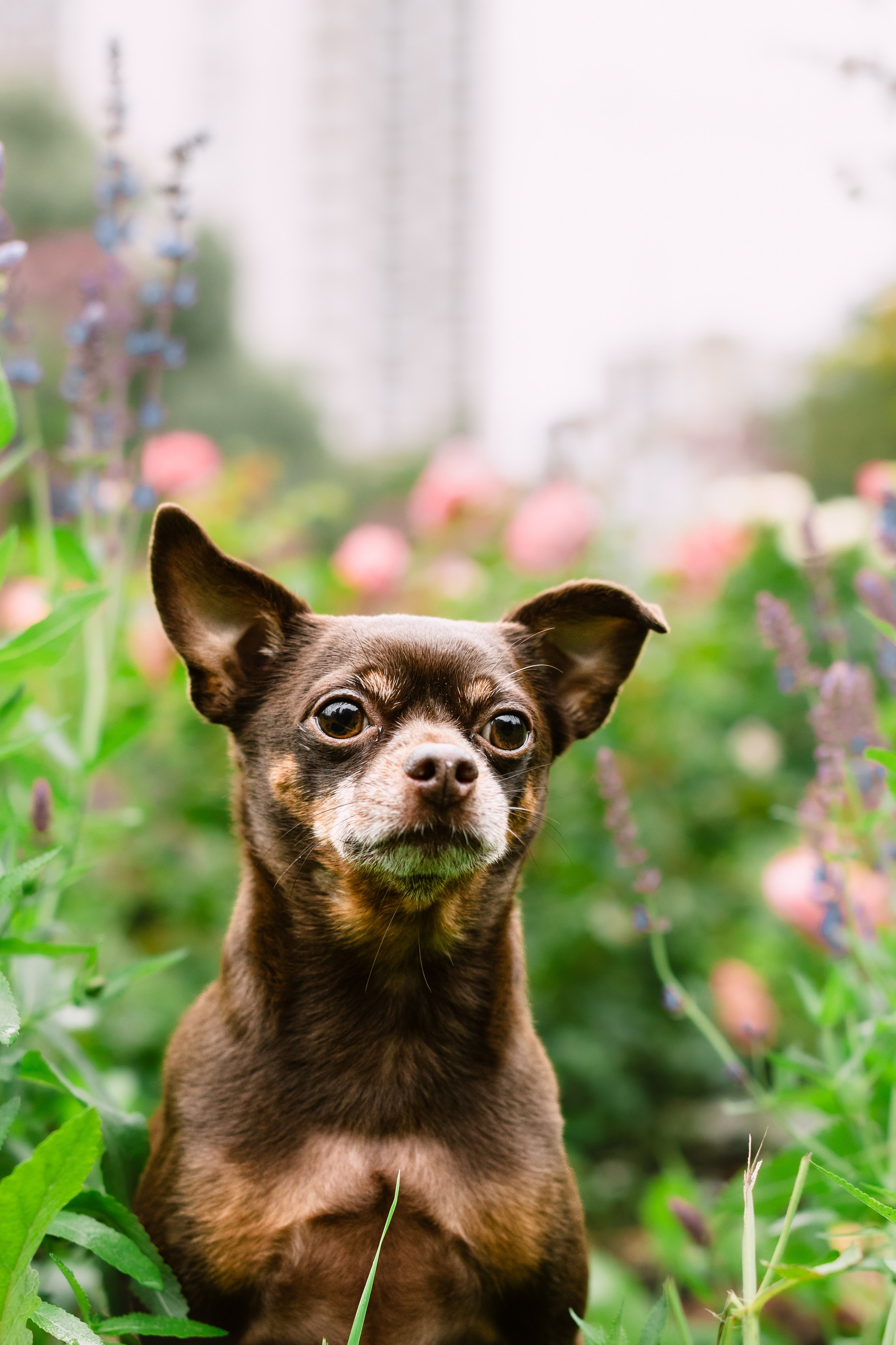 Юля и Леонид. Фотограф-анималист Татьяна Степанова
