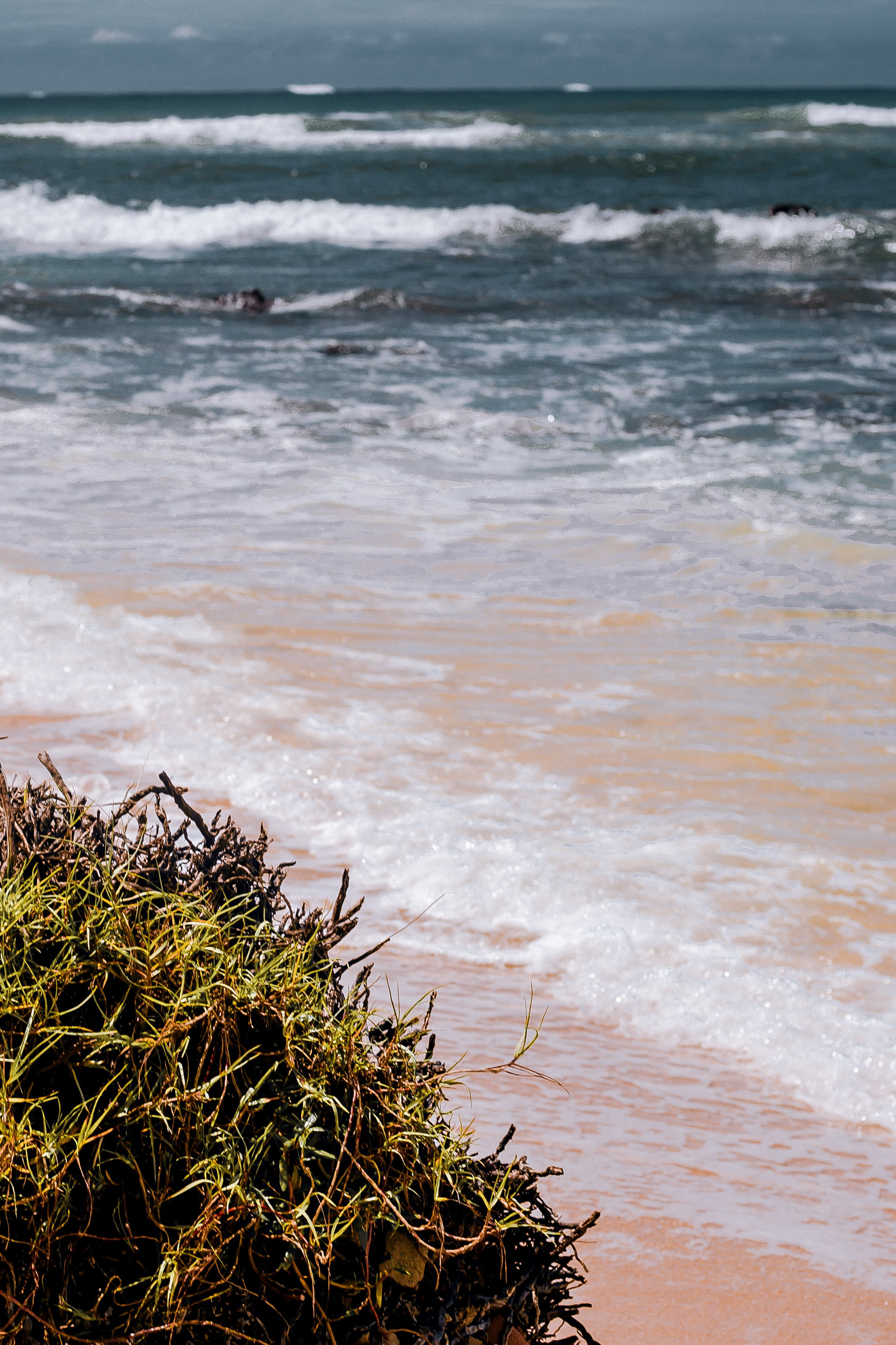 Sri Lanka. Art Photographer