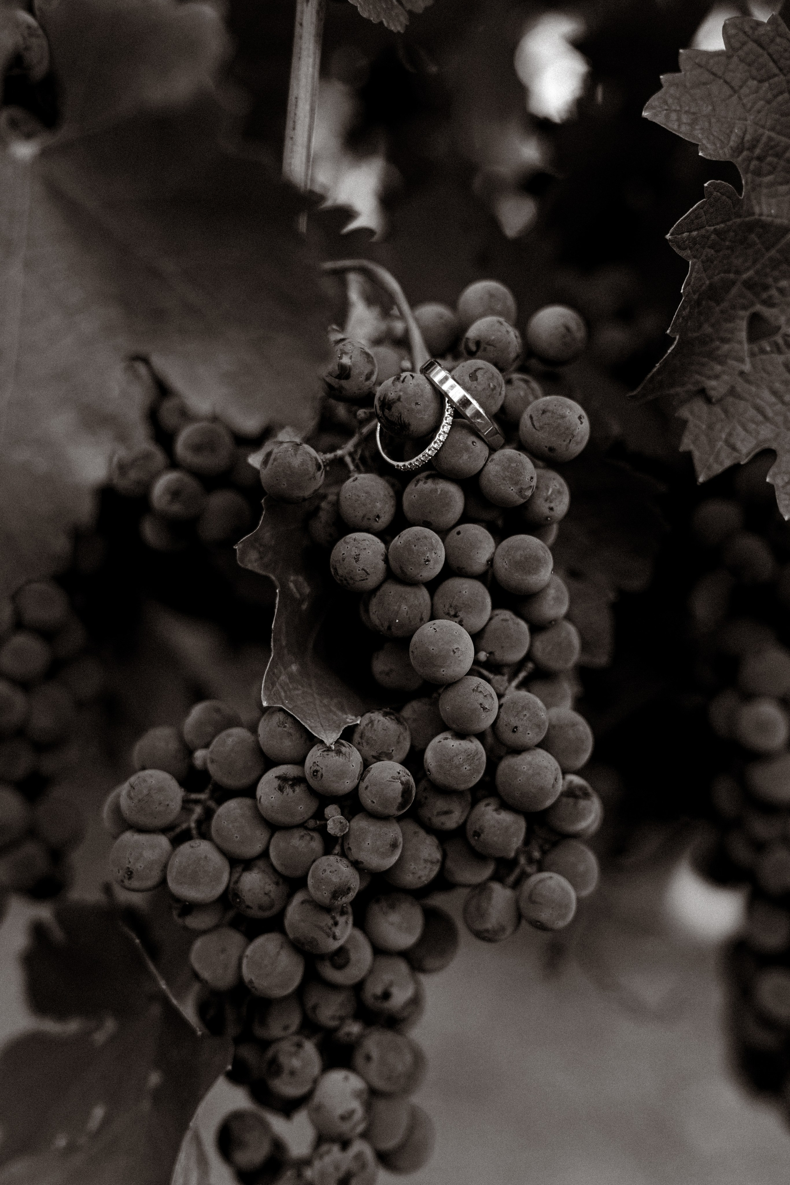 Яна|Никита. Свадебный фотограф в Ростове-на-Дону Саша Филатова