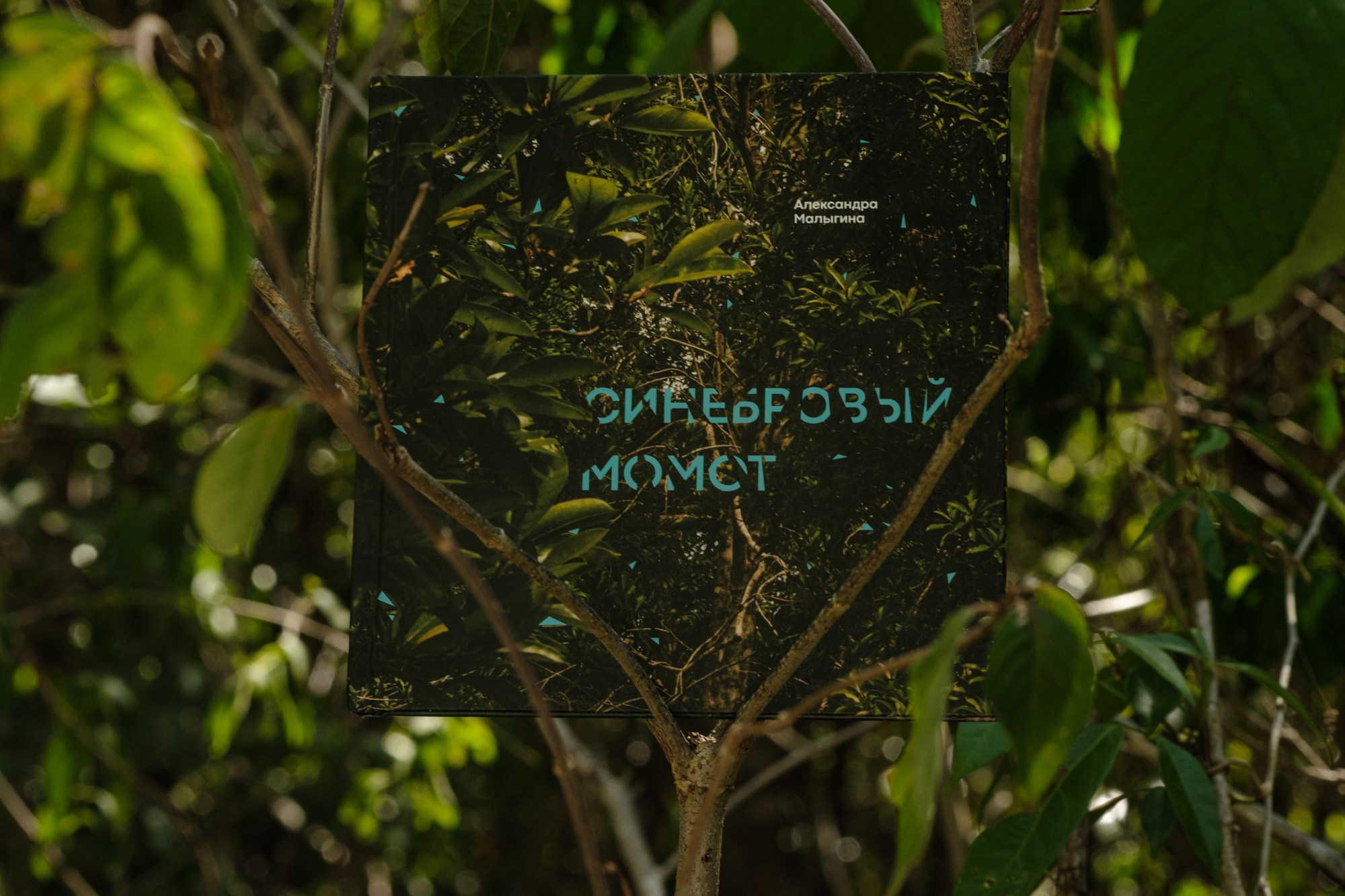 Momotus Azul. Margarita Rodionova — a contemporary lens-based artist currently working in Cancun, Mexico