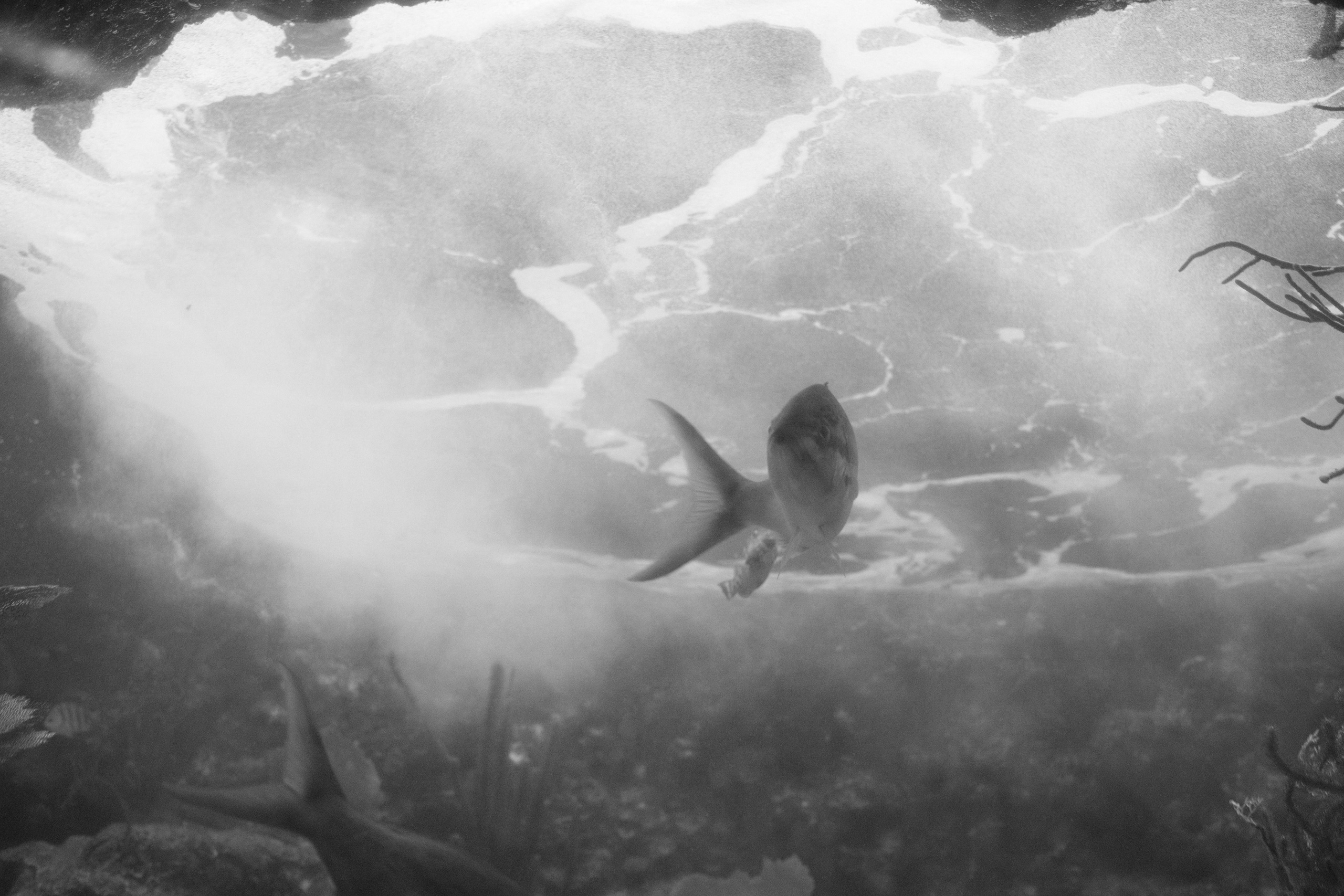 Margarita Rodionova — a contemporary lens-based artist currently working in Cancun, Mexico