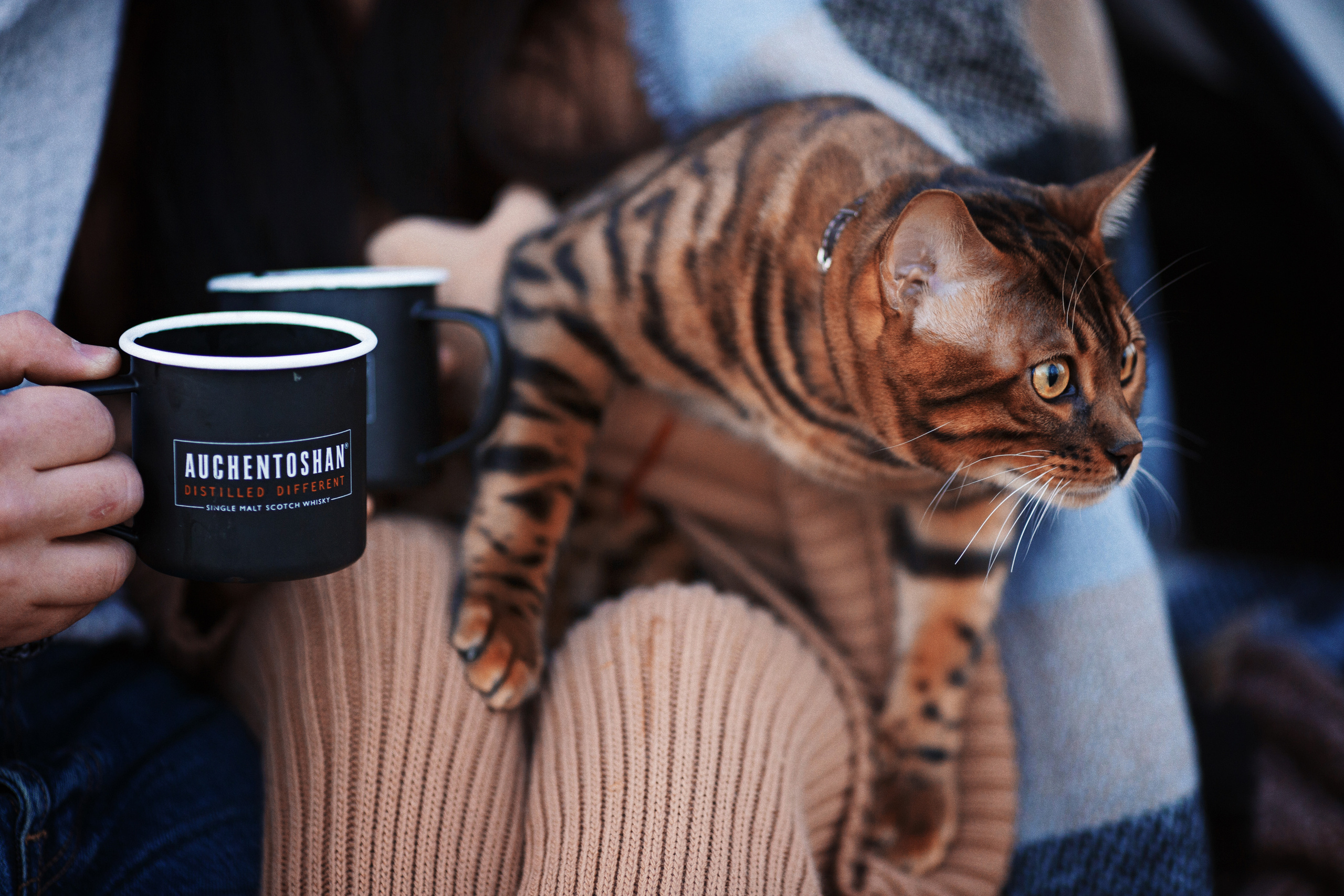 Семья. Женский фотограф в Краснодаре Данилова Анна