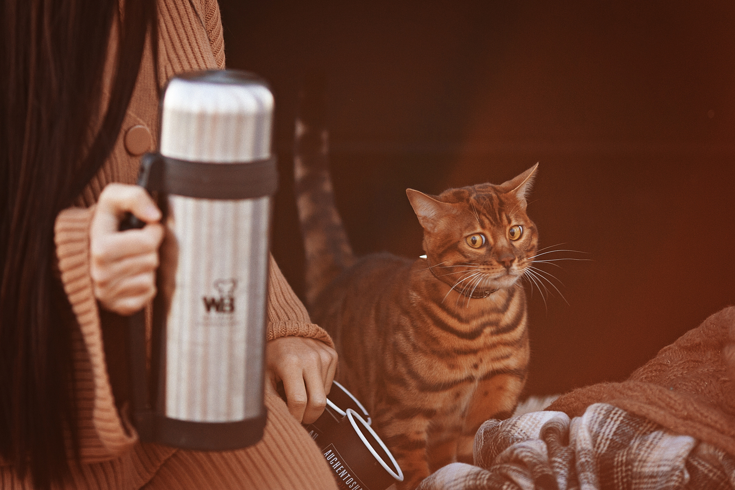 Семья. Женский фотограф в Краснодаре Данилова Анна