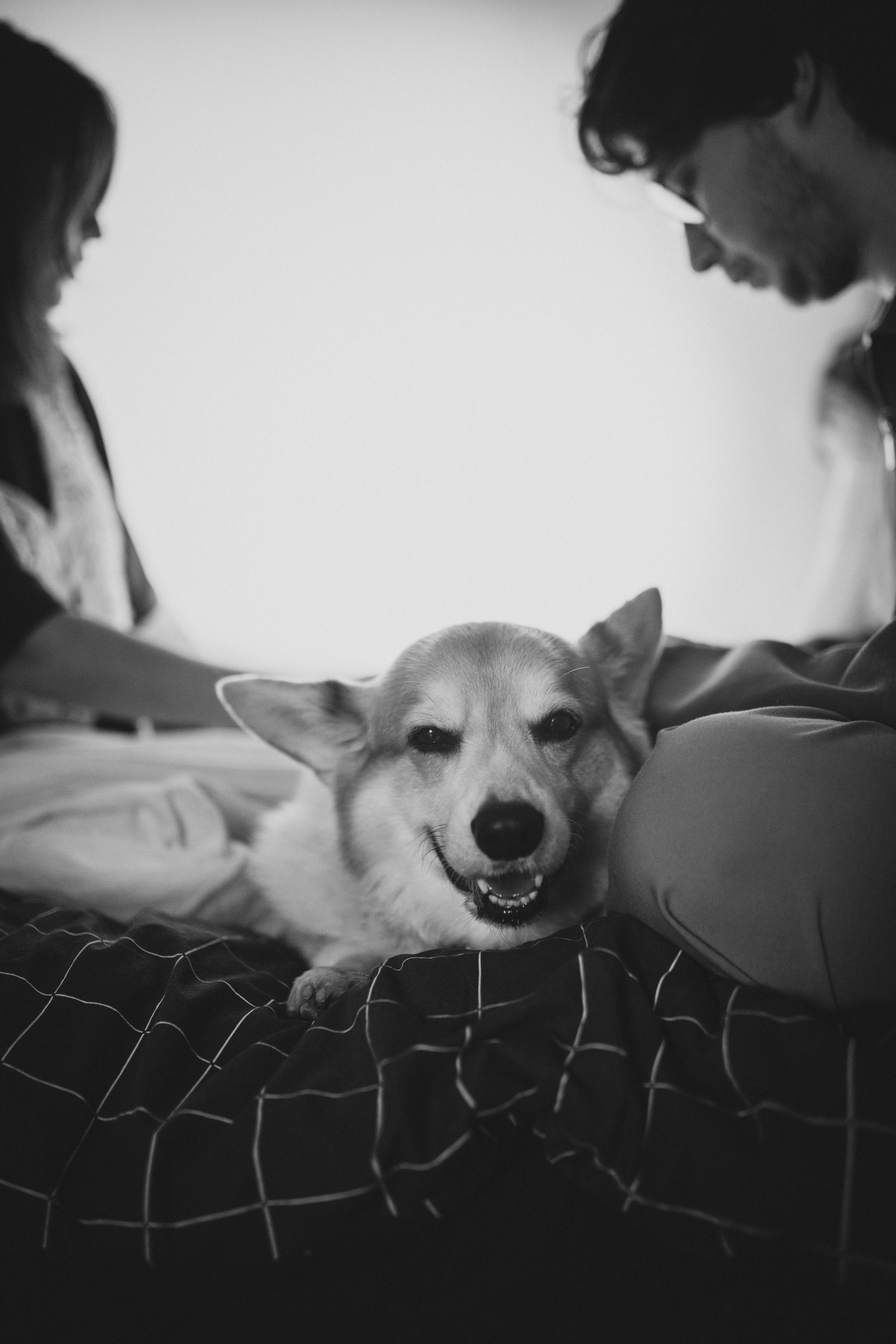 Светлана, Никита и Василиса. Фотограф в Санкт-Петербурге